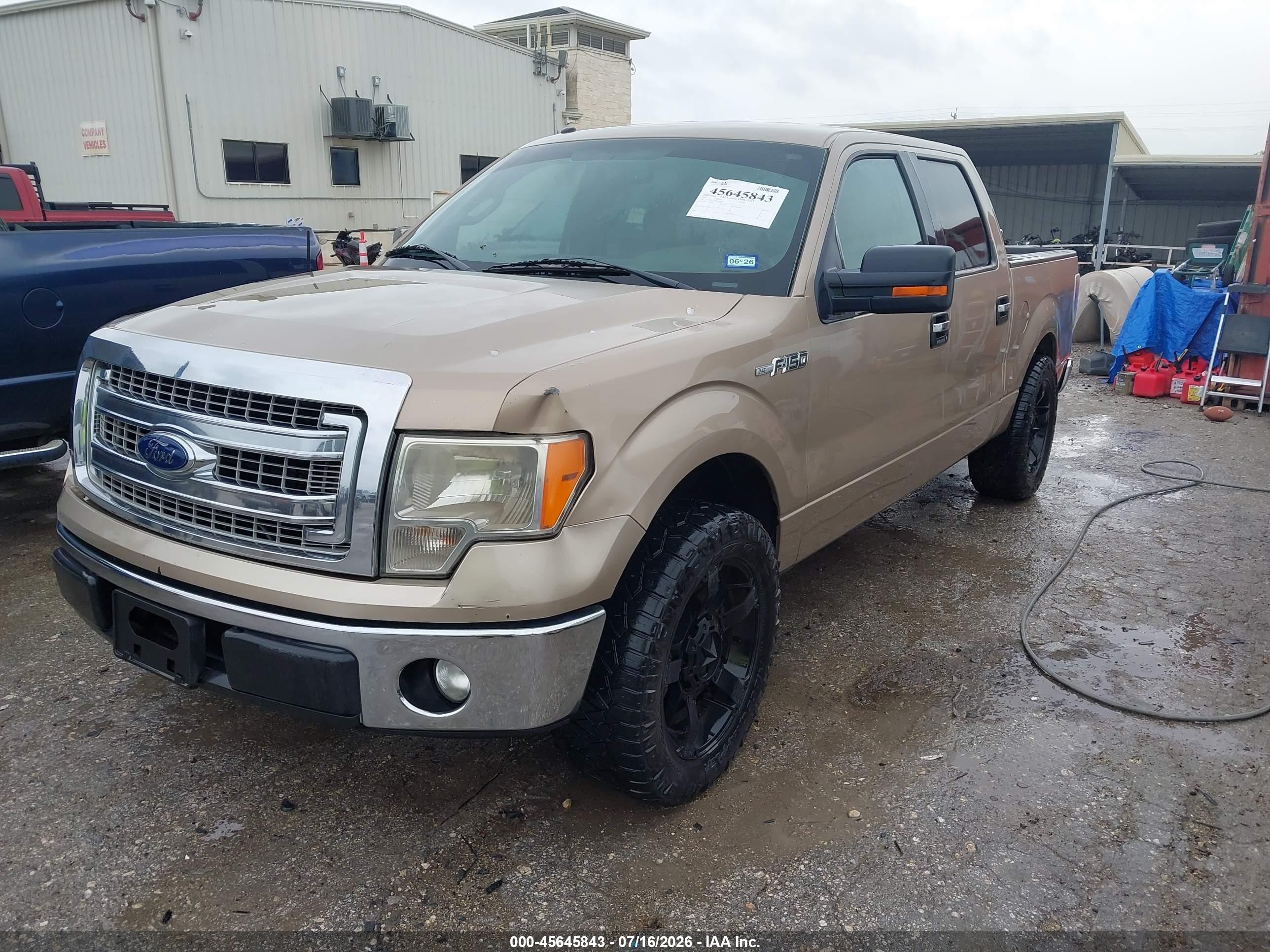 2013 Ford F-150 Xlt Gold vin: 1FTFW1CF3DKF94785