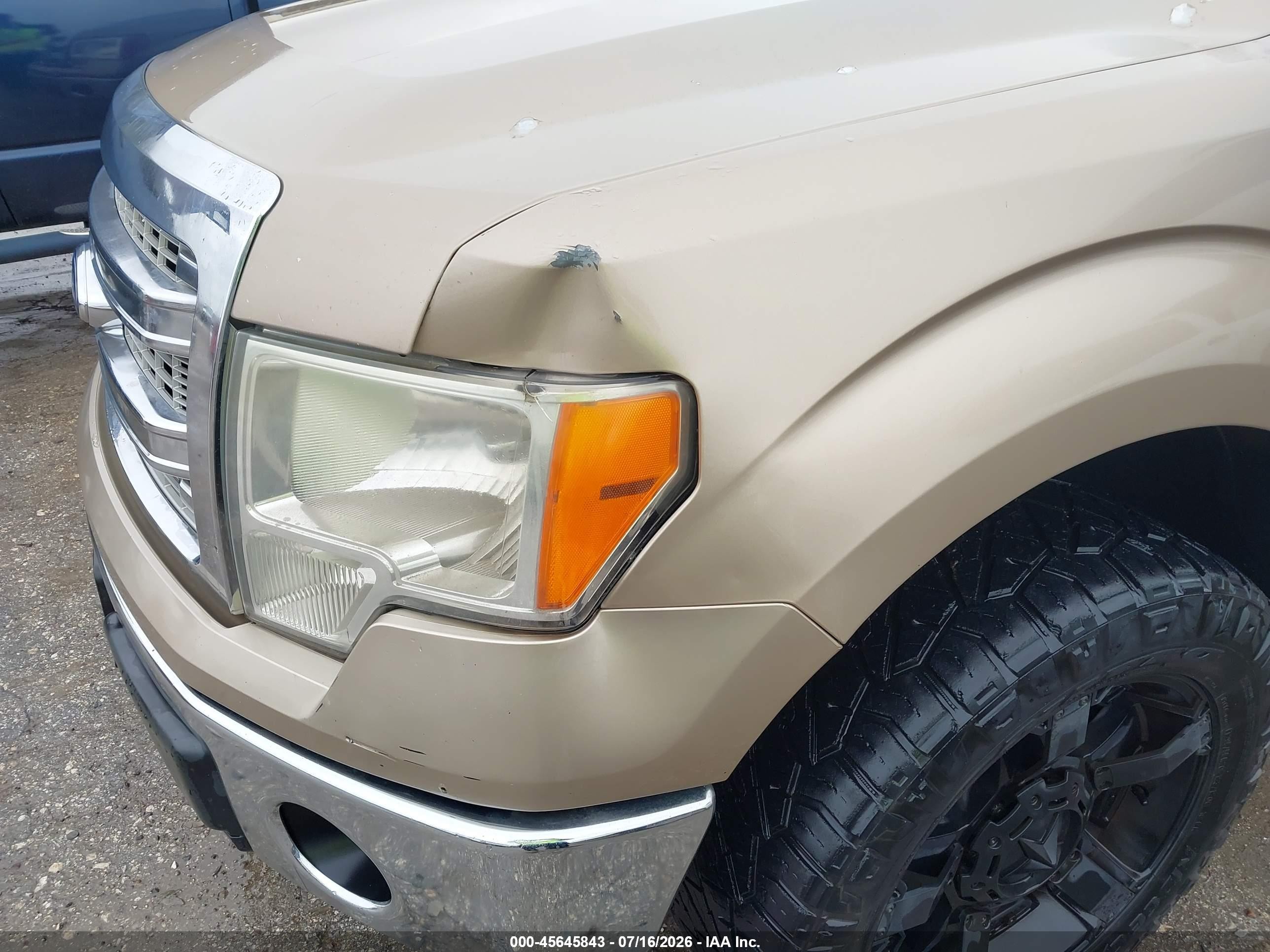 2013 Ford F-150 Xlt Gold vin: 1FTFW1CF3DKF94785