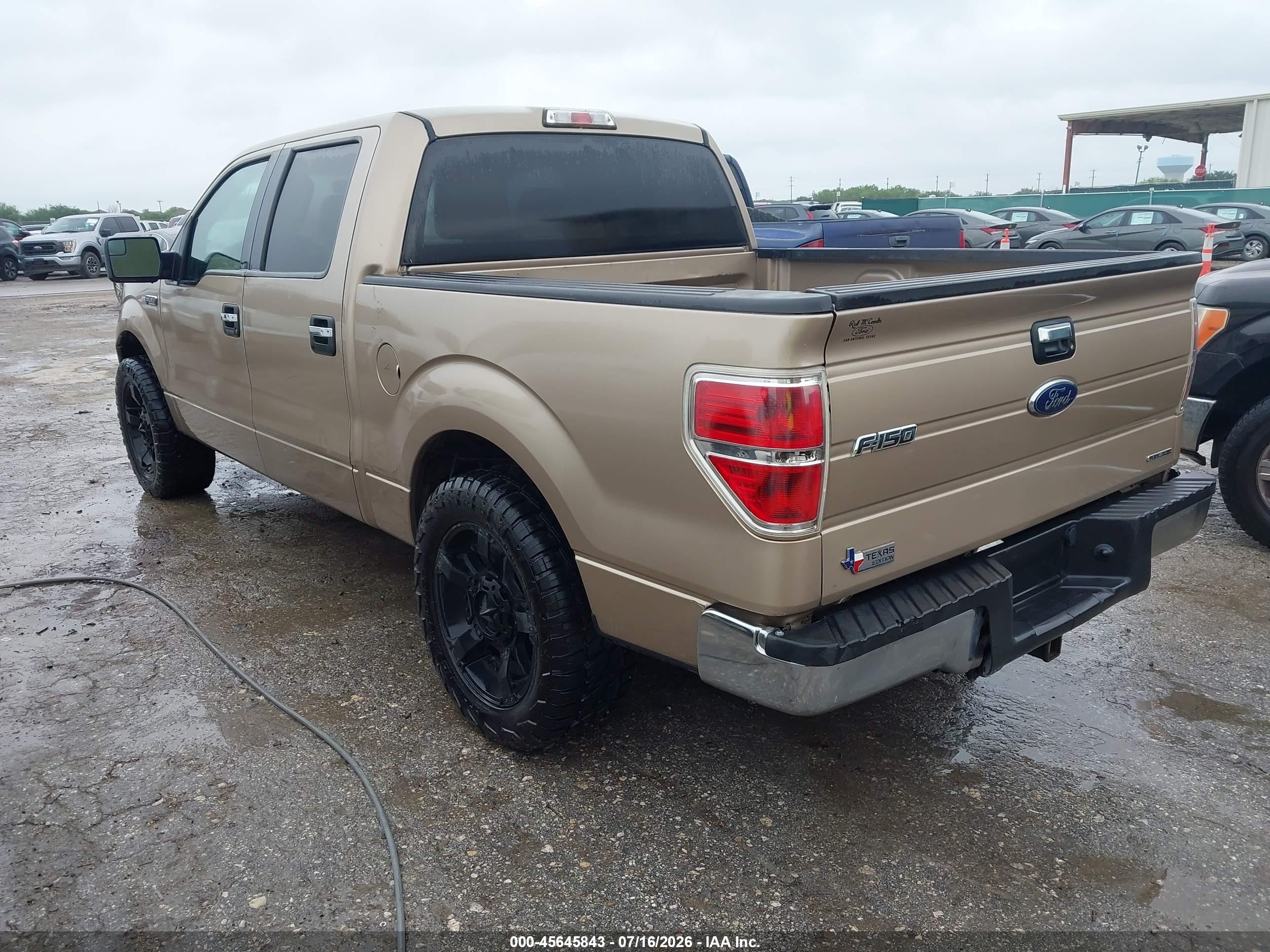 2013 Ford F-150 Xlt Gold vin: 1FTFW1CF3DKF94785