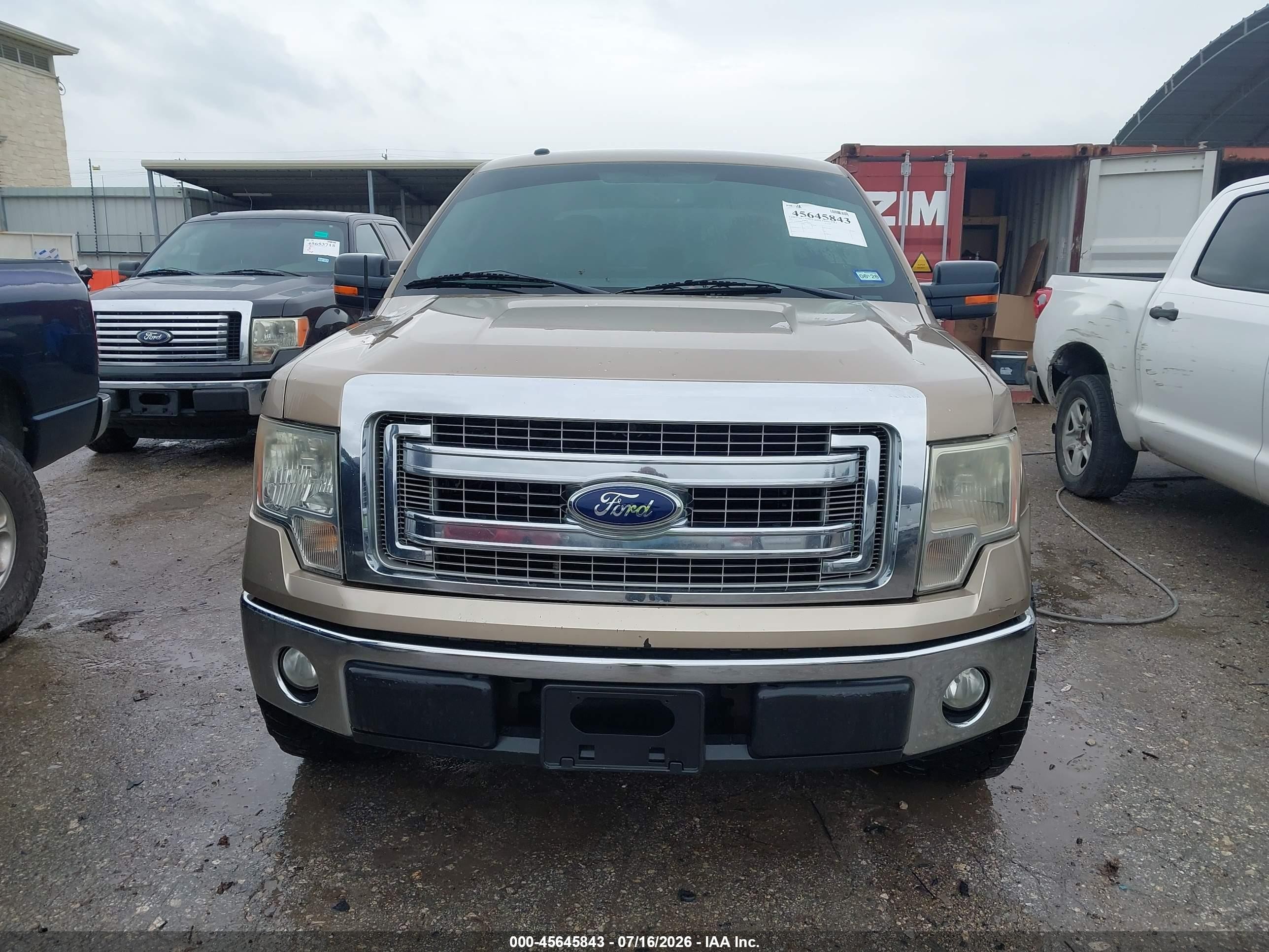 2013 Ford F-150 Xlt Gold vin: 1FTFW1CF3DKF94785