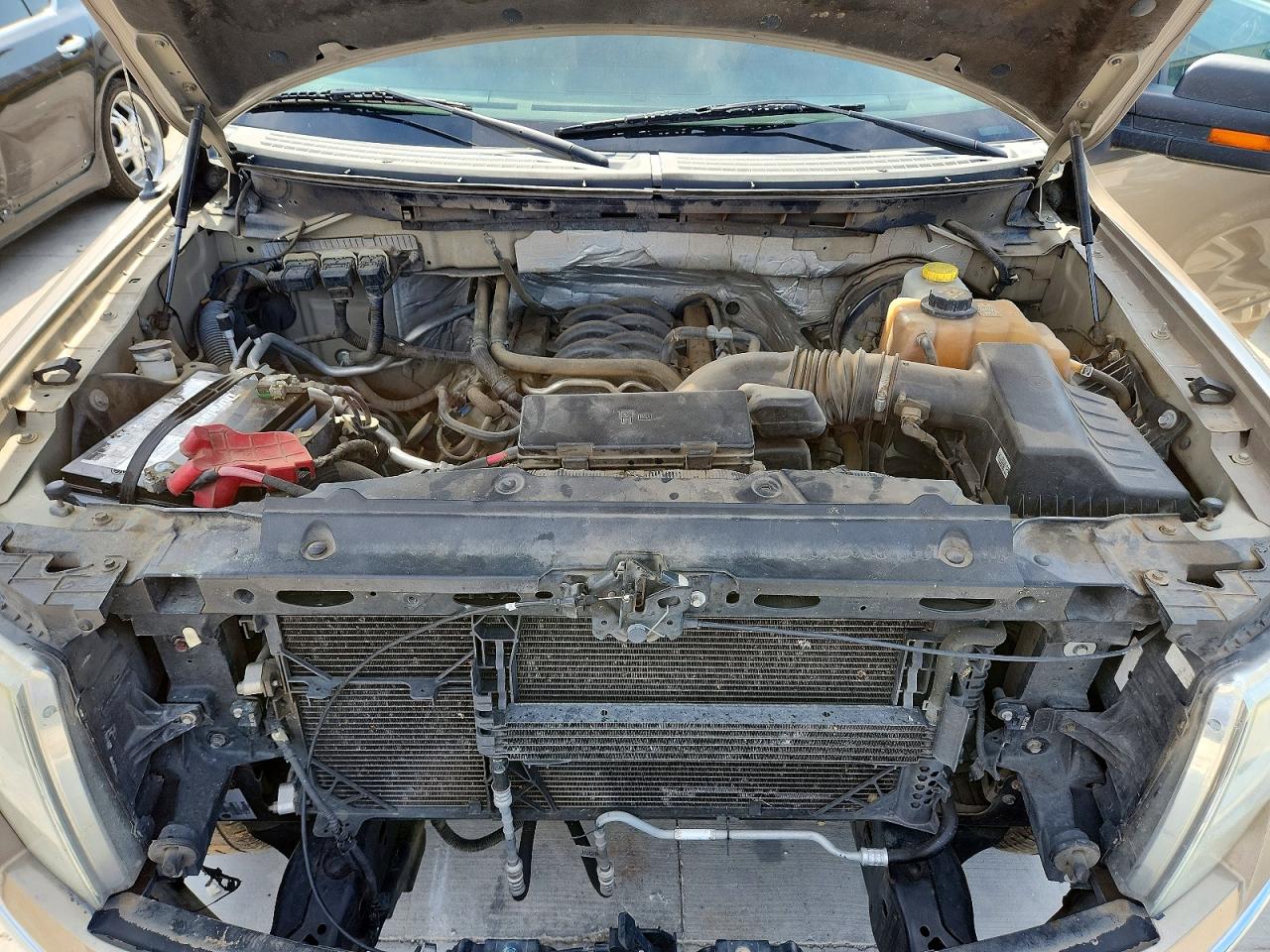 2014 Ford F150 Supercrew Gold vin: 1FTFW1CF3EFB83879
