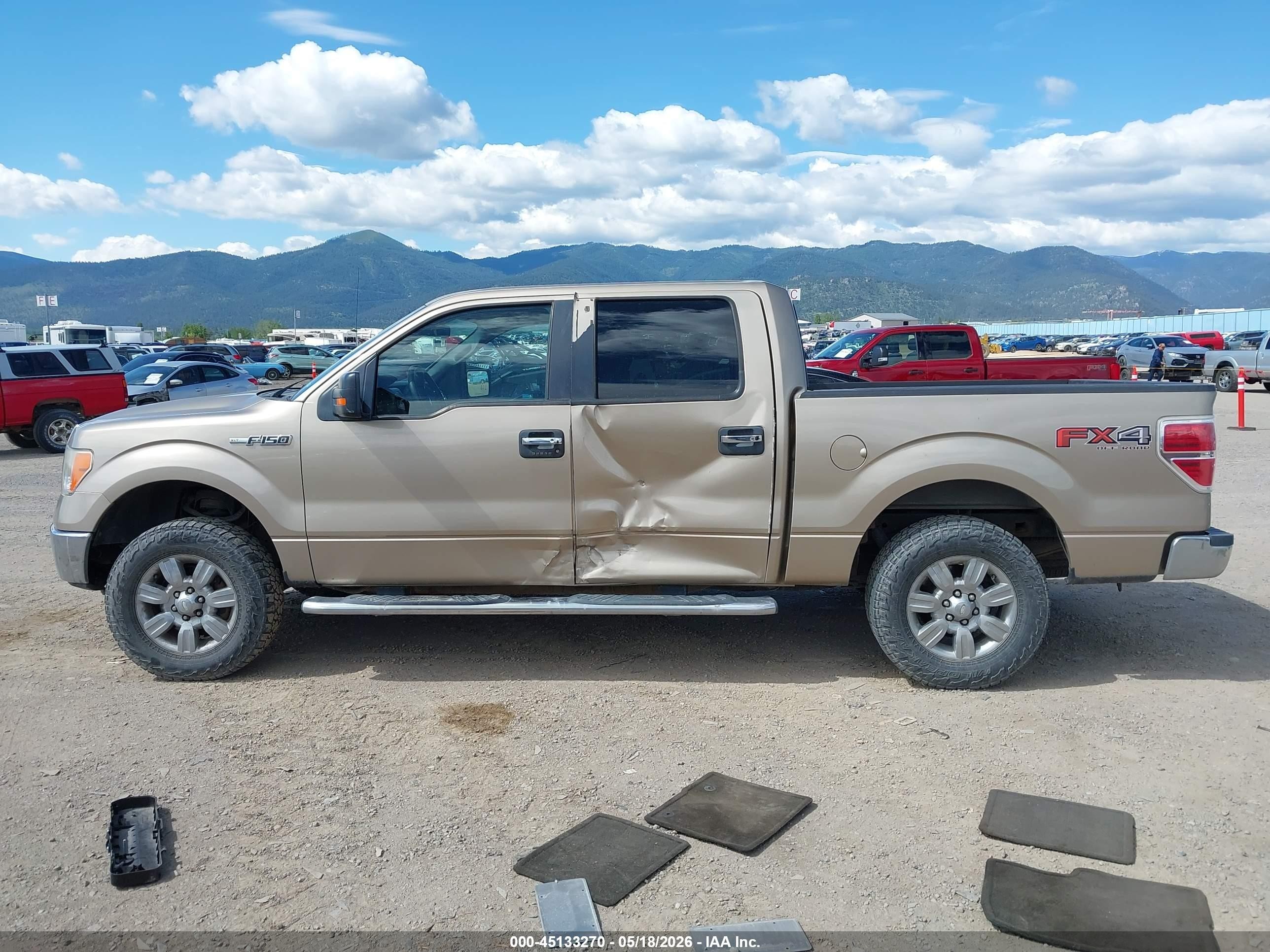2011 Ford F-150 Xlt Gold vin: 1FTFW1CF4BFD13809