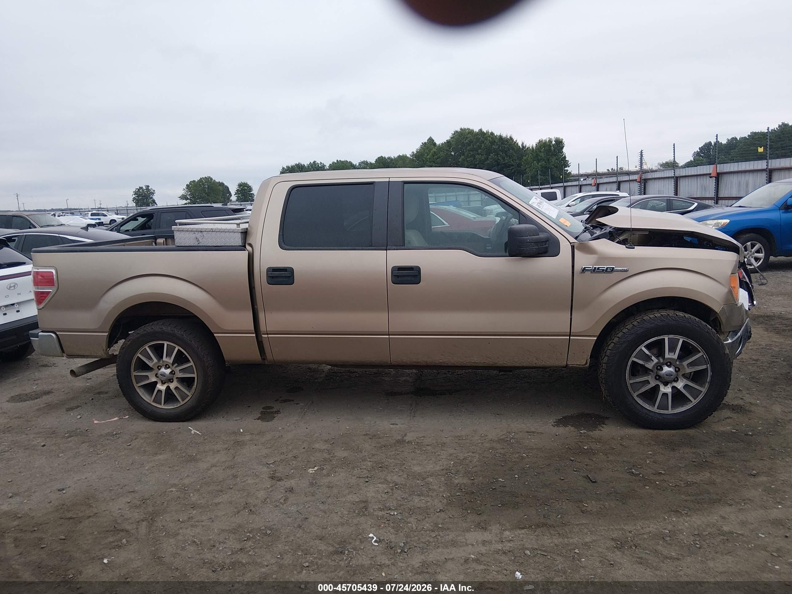 2013 Ford F-150 Xlt Beige vin: 1FTFW1CF4DKD93204