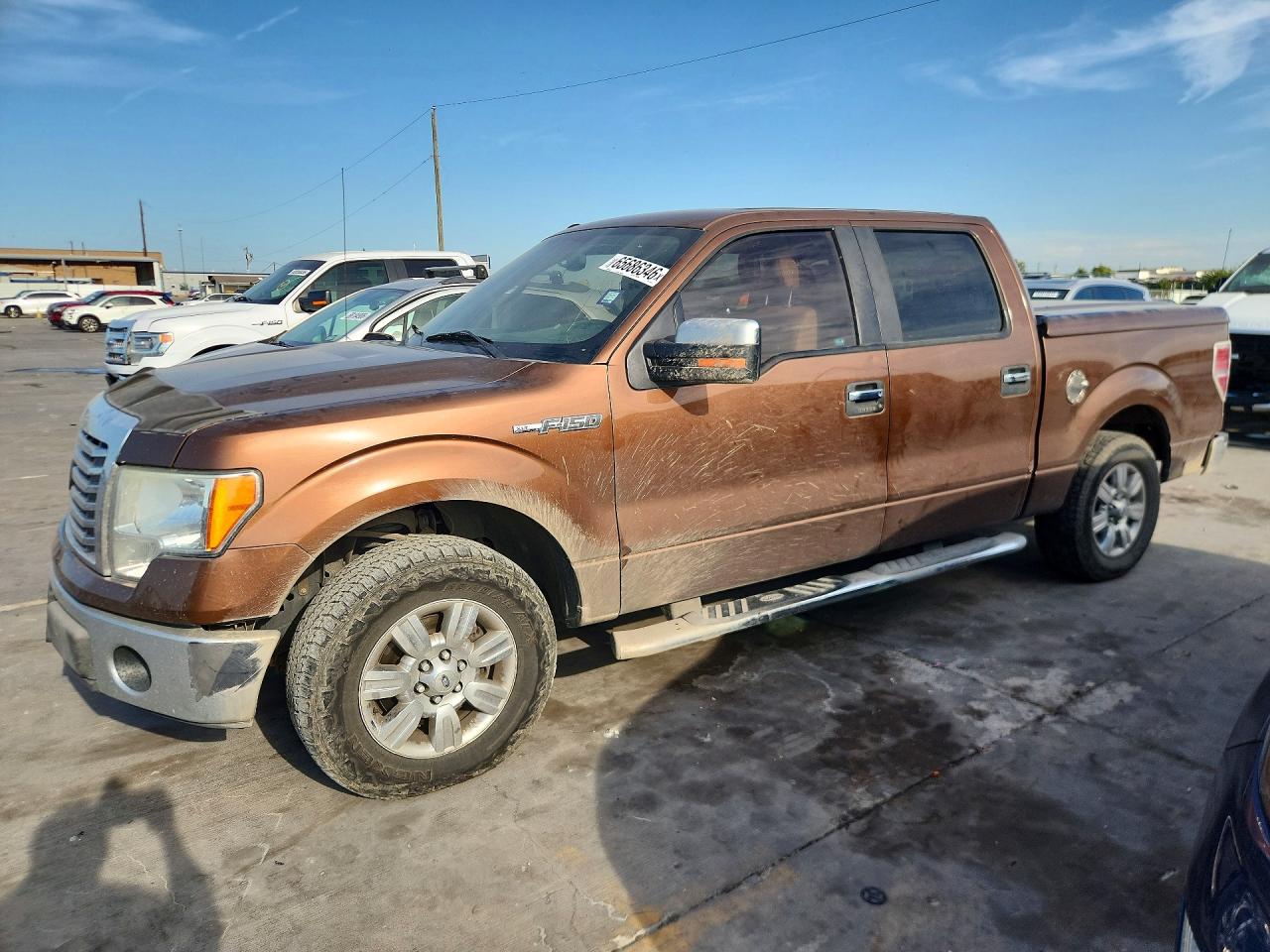 2011 Ford F150 Supercrew Brown vin: 1FTFW1CF9BFA25879