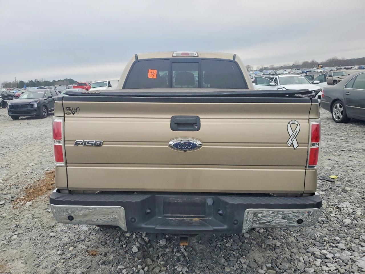 2012 Ford F150 Supercrew Gold vin: 1FTFW1CT8CFC89280