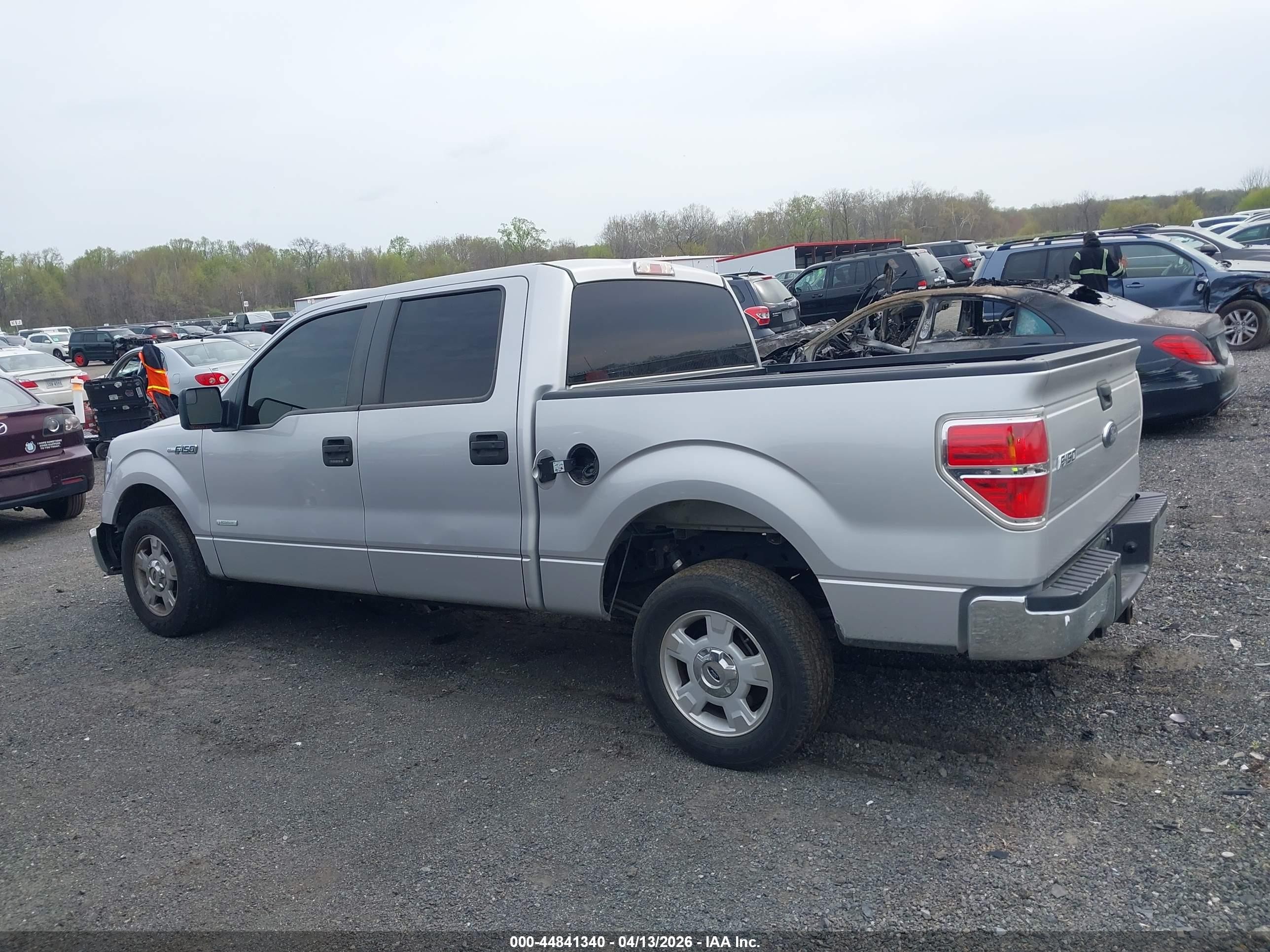 2014 Ford F-150 Xlt Silver vin: 1FTFW1CT9EKF75682