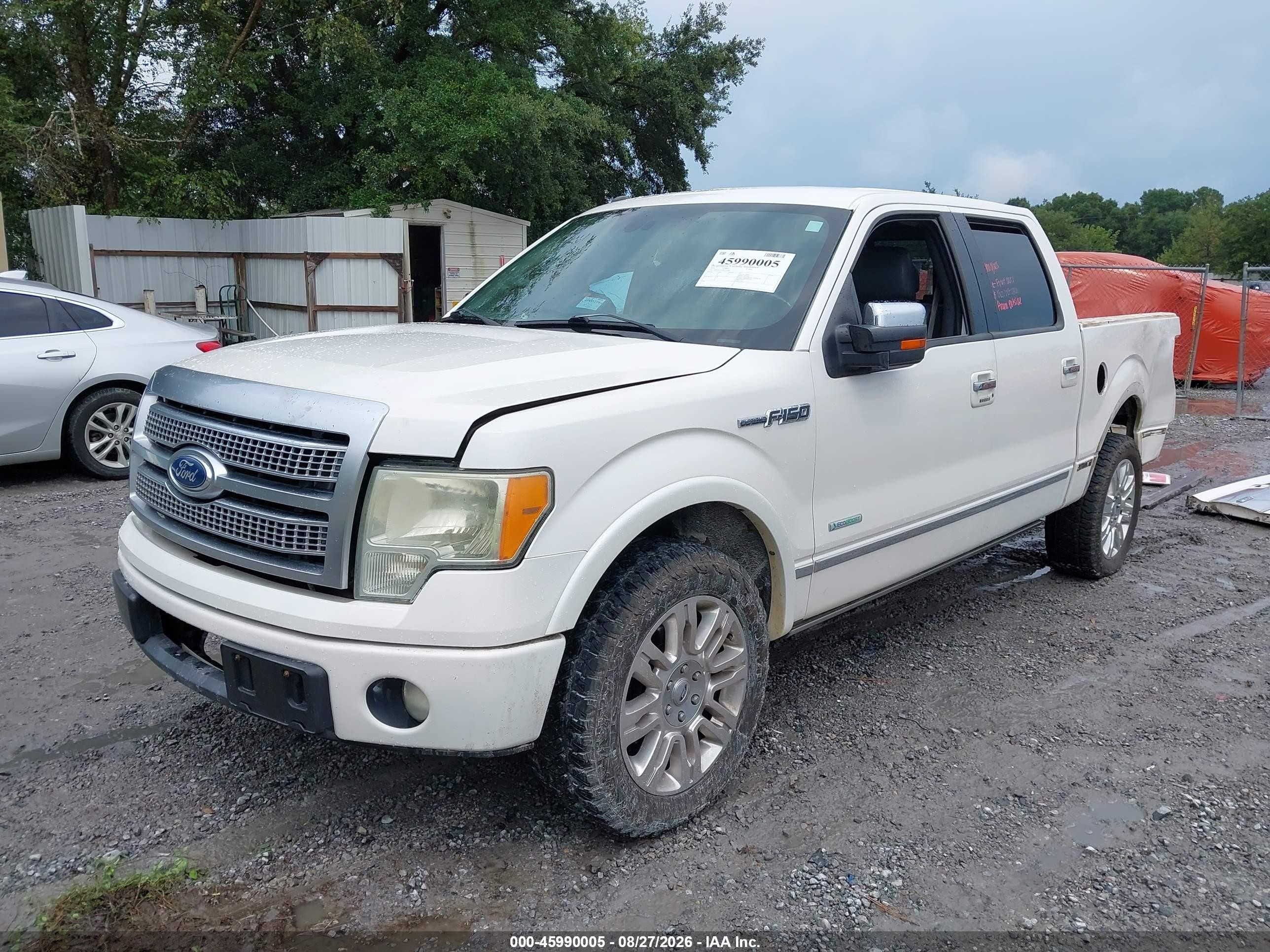 2011 Ford F-150 Platinum White vin: 1FTFW1CTXBFC43884