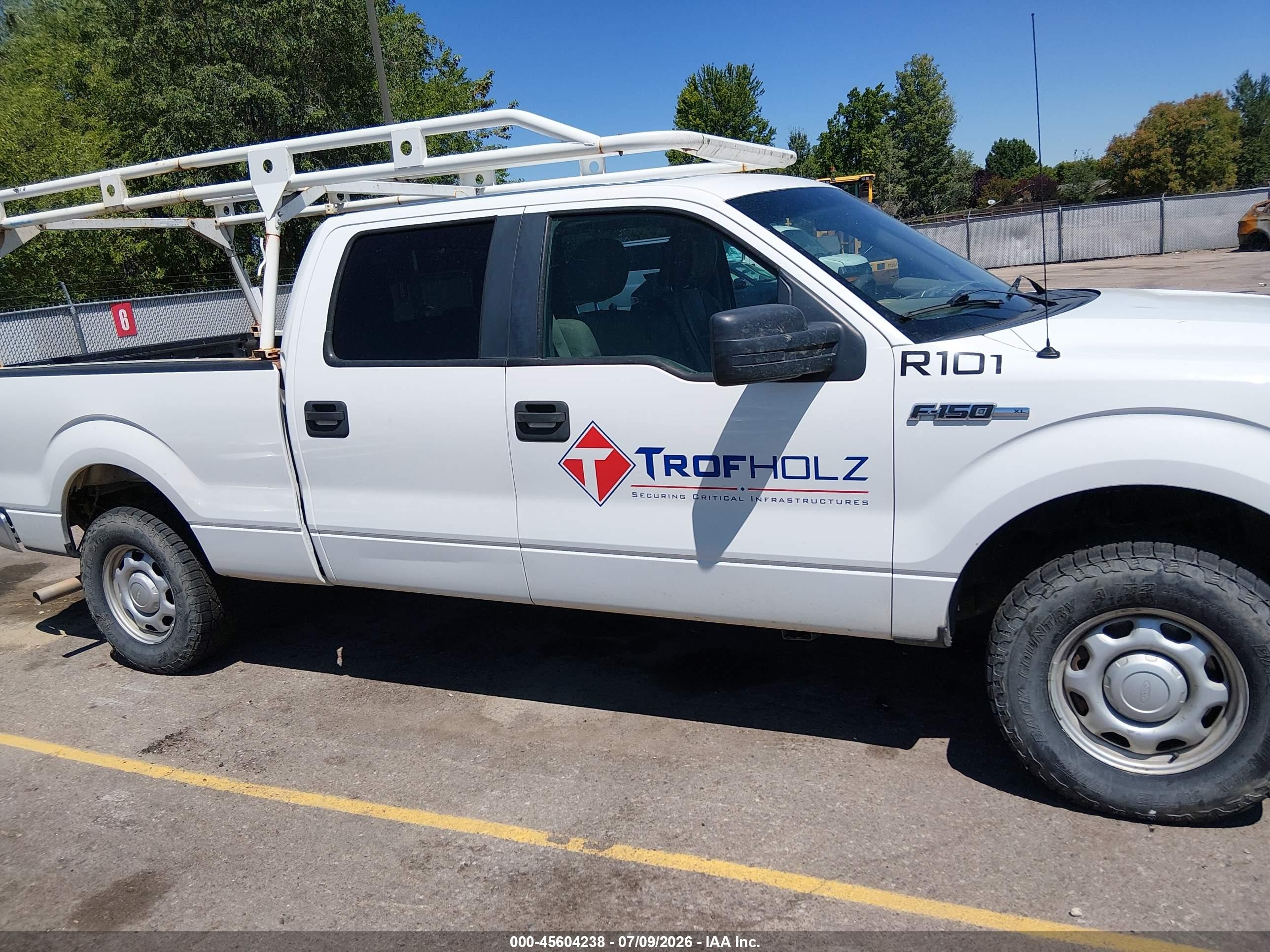 2010 Ford F-150 Xl/xlt White vin: 1FTFW1E82AFC91984
