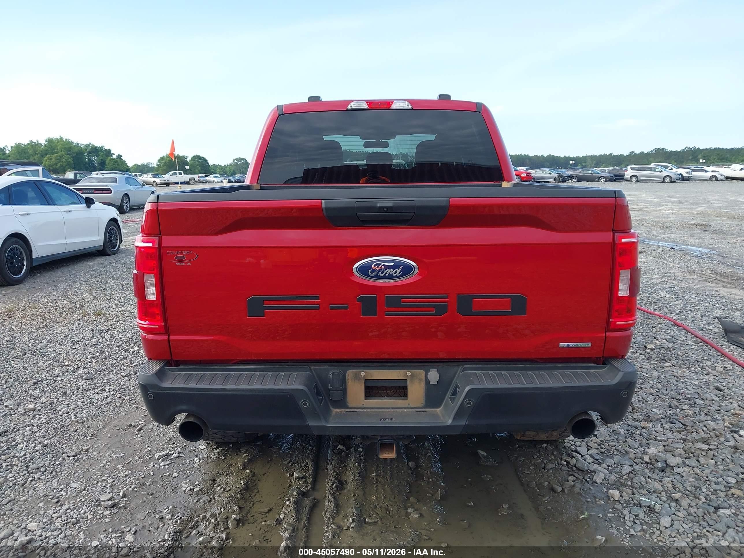 2023 Ford F-150 Xl Red vin: 1FTFW1E86PFA45383