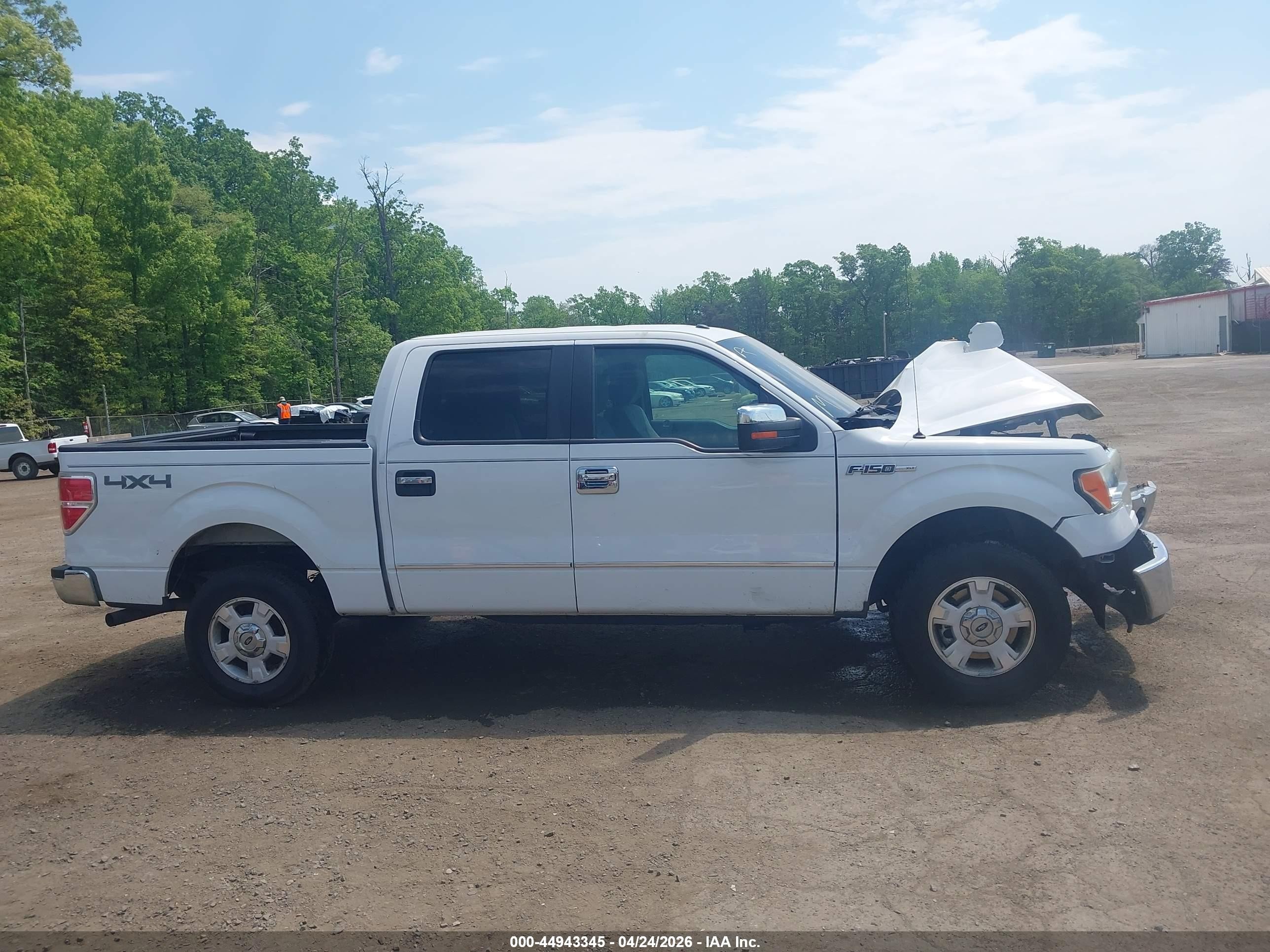 2013 Ford F-150 Xlt White vin: 1FTFW1EF1DFD27618