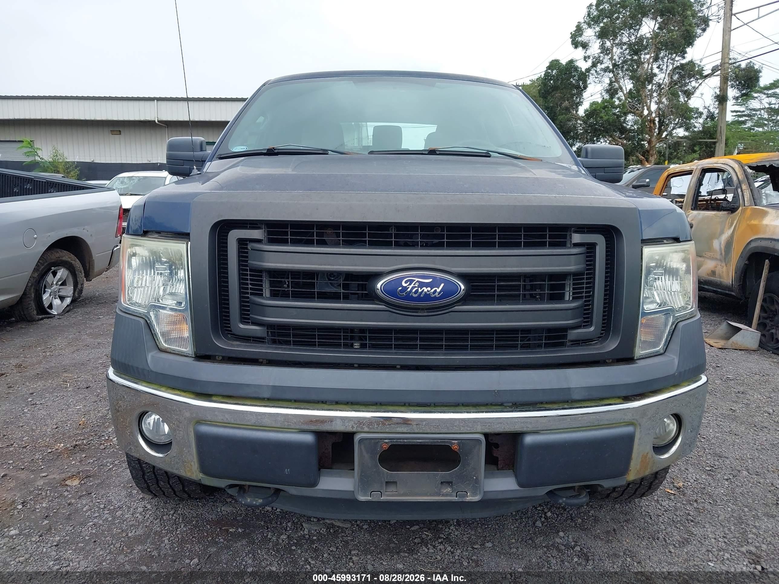 2013 Ford F-150 Xl Dark Blue vin: 1FTFW1EF1DKF32718