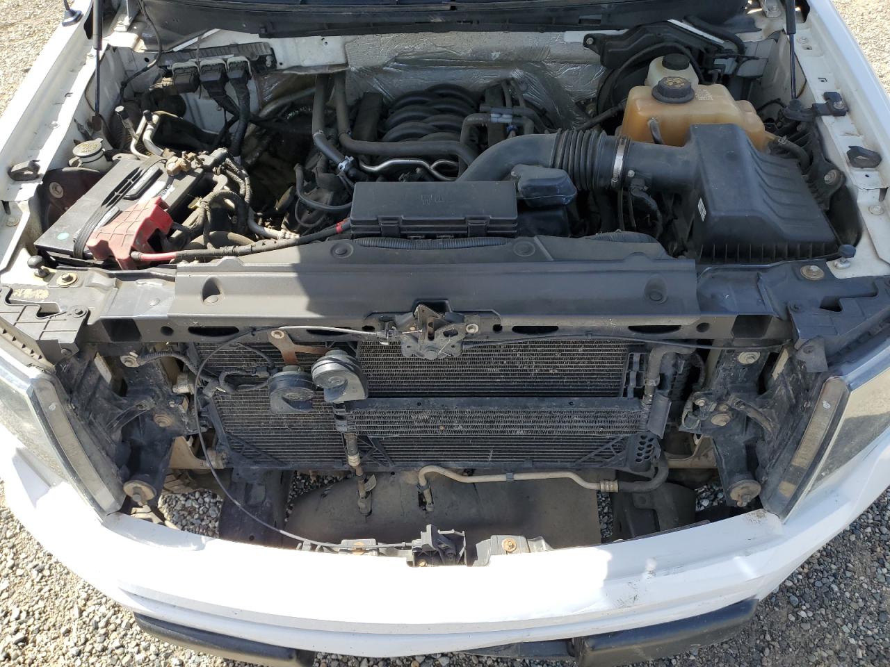 2013 Ford F150 Supercrew White vin: 1FTFW1EF3DFA06258
