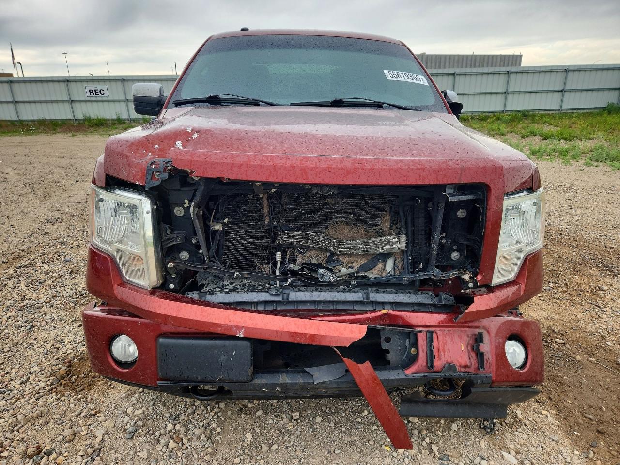 2014 Ford F150 Supercrew Orange vin: 1FTFW1EF3EKD23398