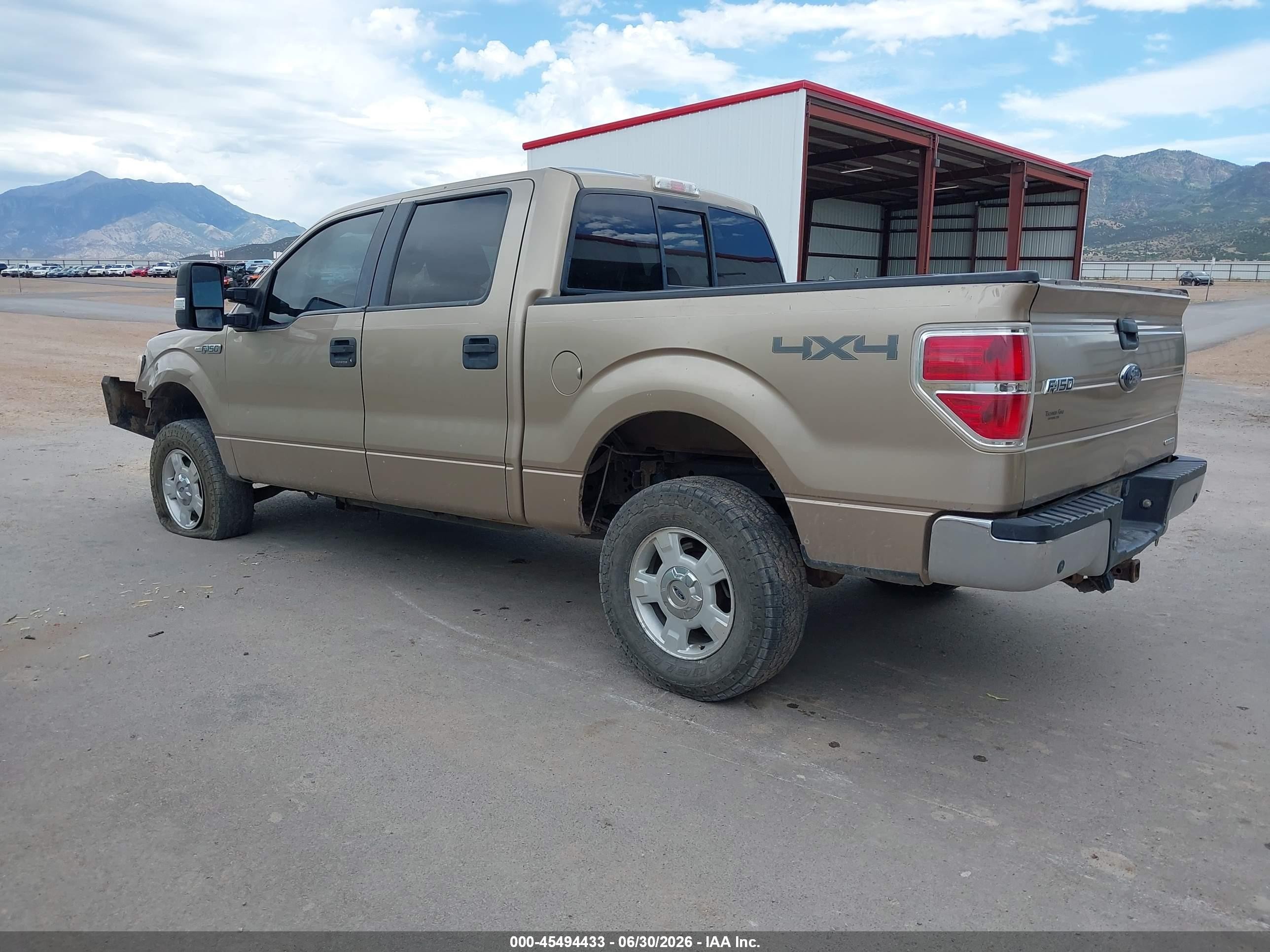 2013 Ford F-150 Fx4/king Ranch/lariat/platinum/xl/xlt Gold vin: 1FTFW1EF6DKE12865