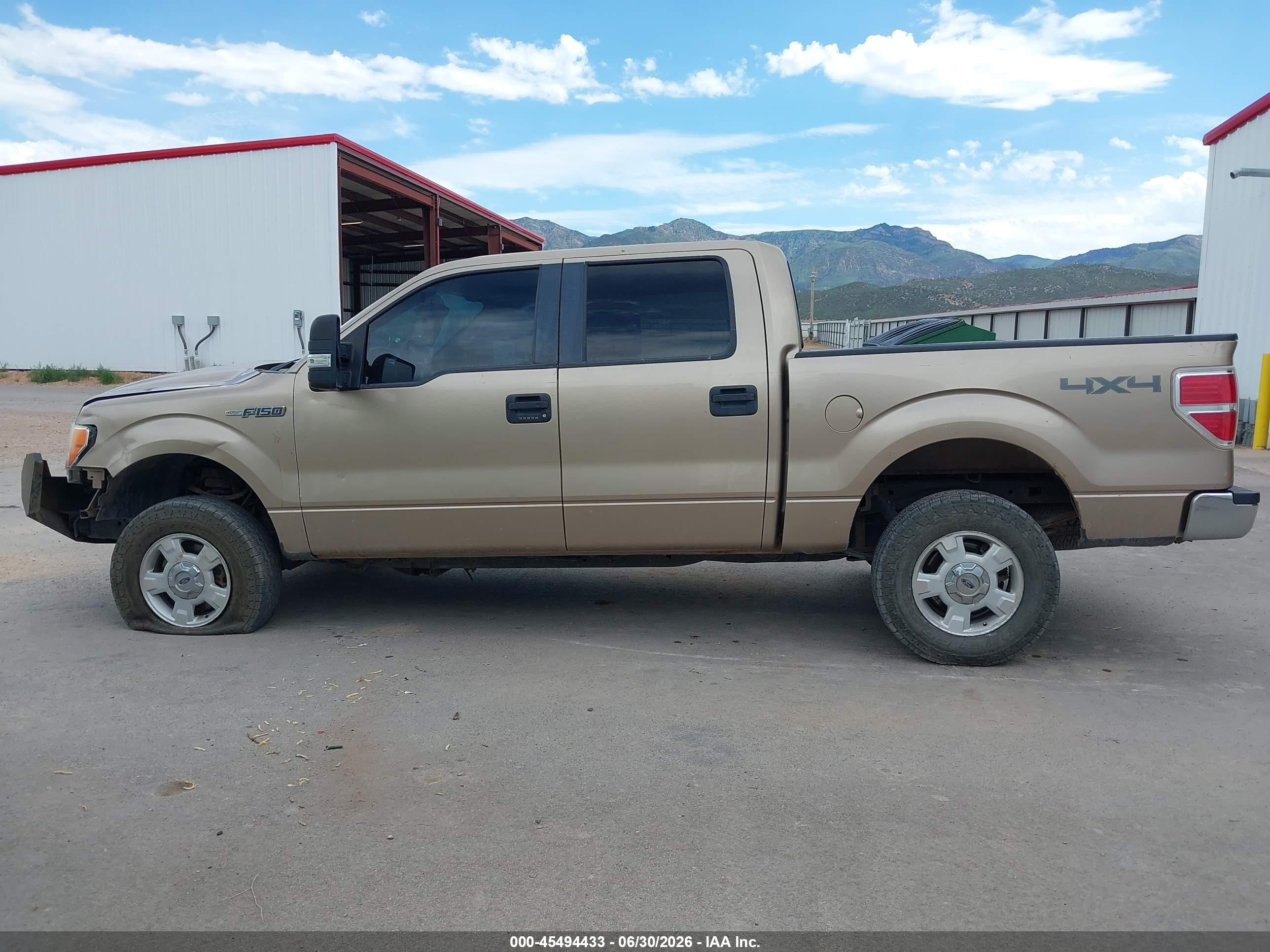 2013 Ford F-150 Fx4/king Ranch/lariat/platinum/xl/xlt Gold vin: 1FTFW1EF6DKE12865