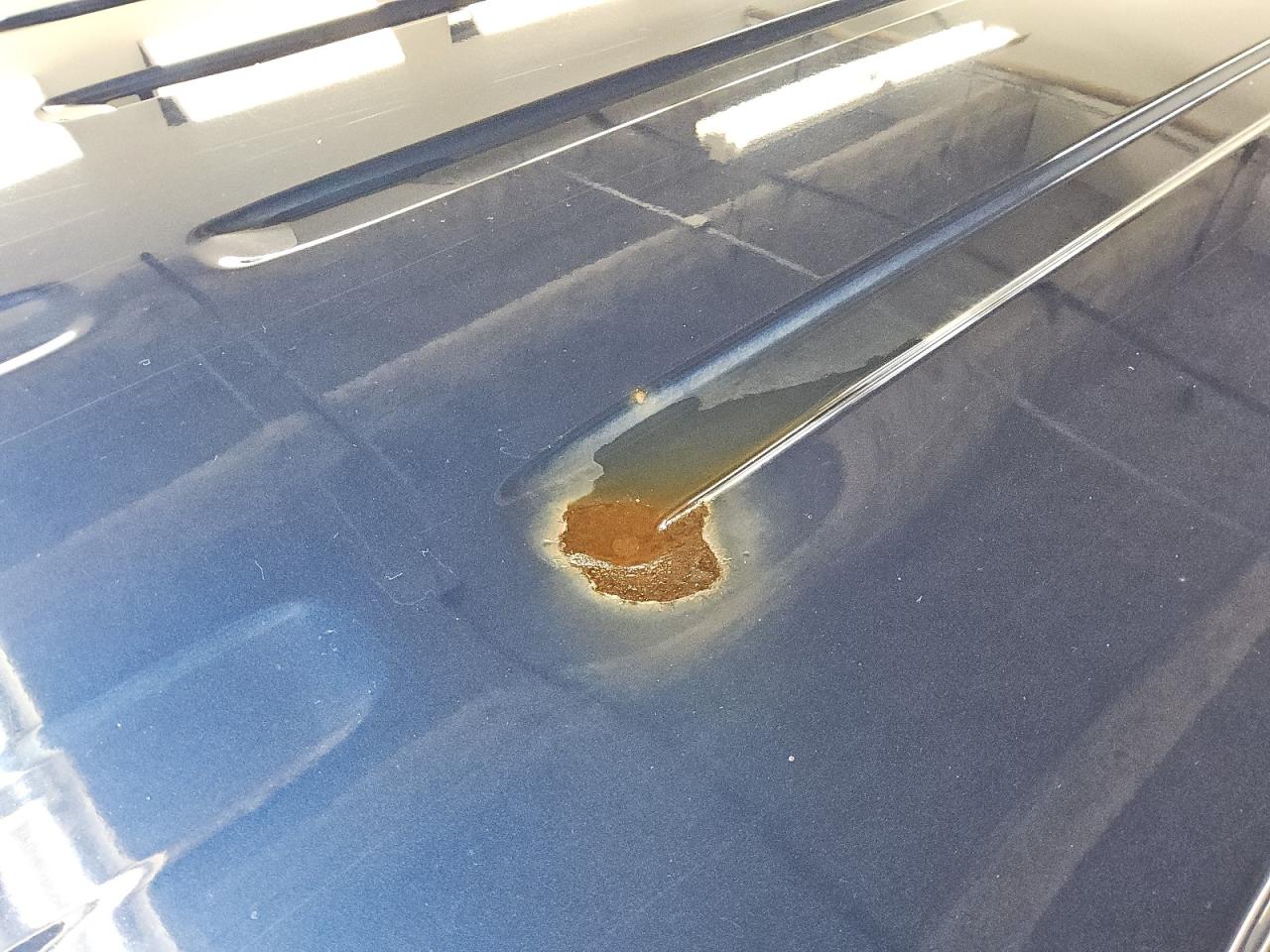 2012 Ford F150 Supercrew Blue vin: 1FTFW1EF8CFB75111 Damage: Roof, Rust, 5 To 6 Inches