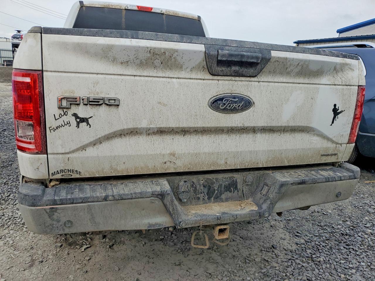 2015 Ford F150 Supercrew White vin: 1FTFW1EF8FFC24988