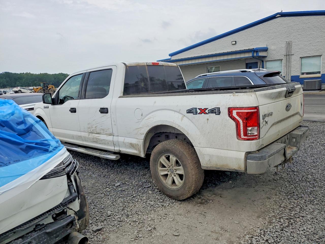 2015 Ford F150 Supercrew White vin: 1FTFW1EF8FFC24988