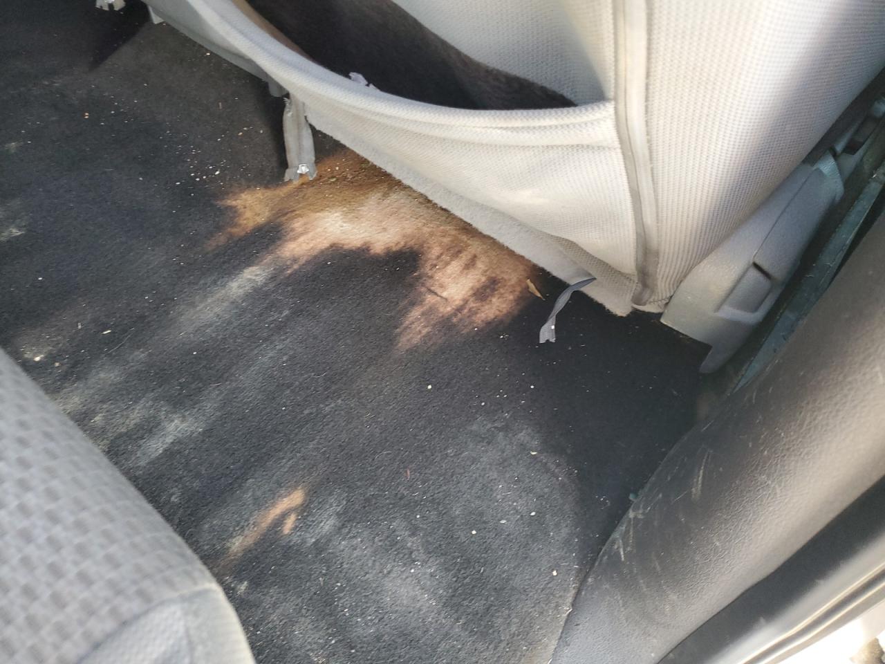 2014 Ford F150 Supercrew Серебряный vin: 1FTFW1EF9EFB19469 Damage: Right Rear Carpet, Stained, Permanent