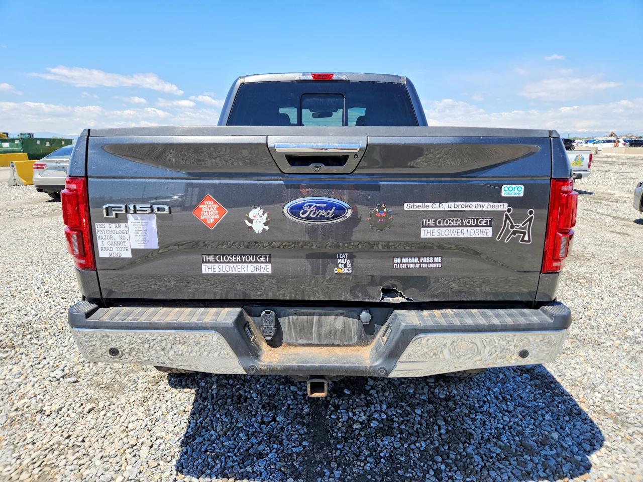 2015 Ford F150 Supercrew Gray vin: 1FTFW1EG9FFA32455