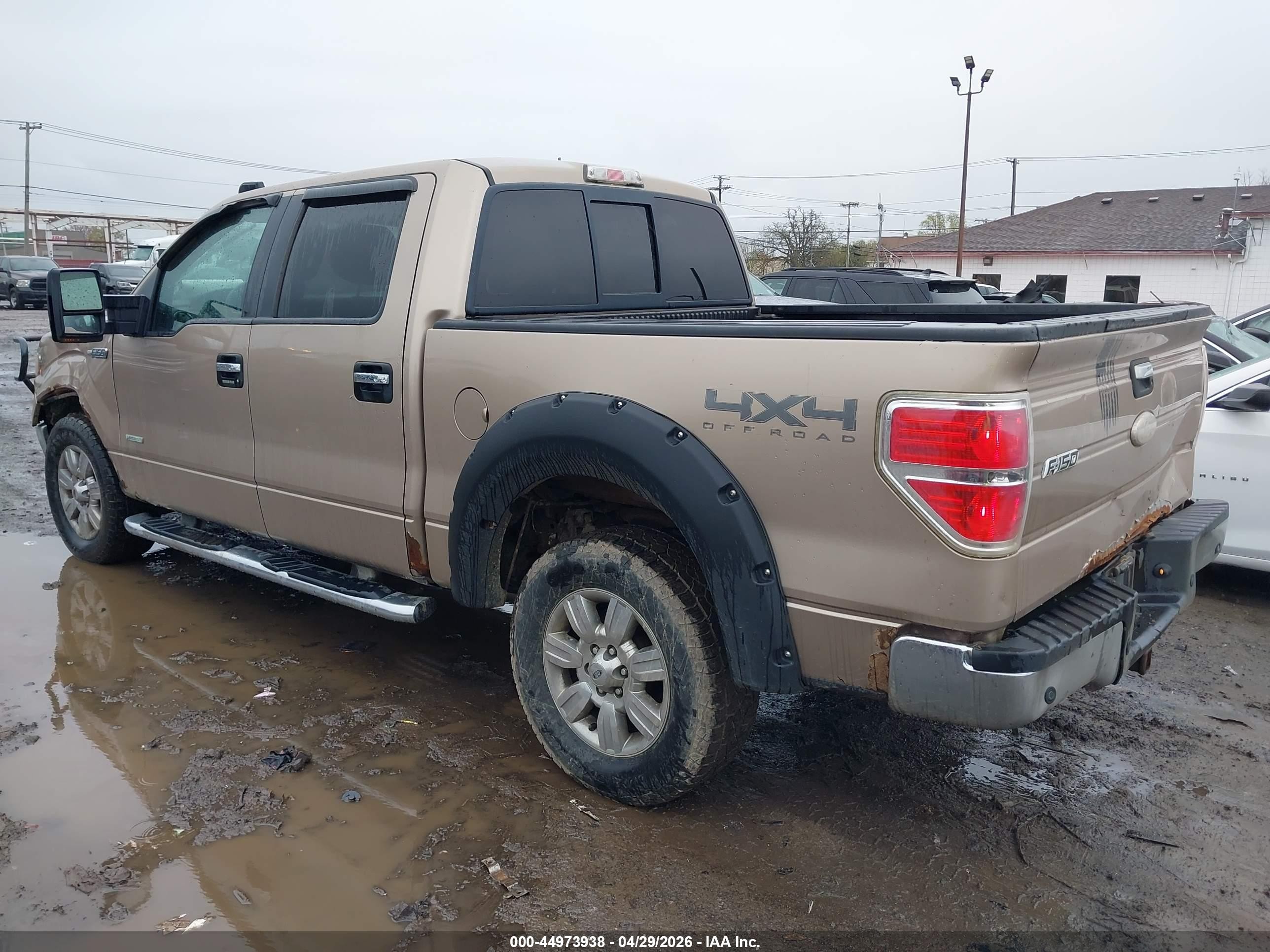 2011 Ford F-150 Xlt Tan vin: 1FTFW1ET1BKD71578