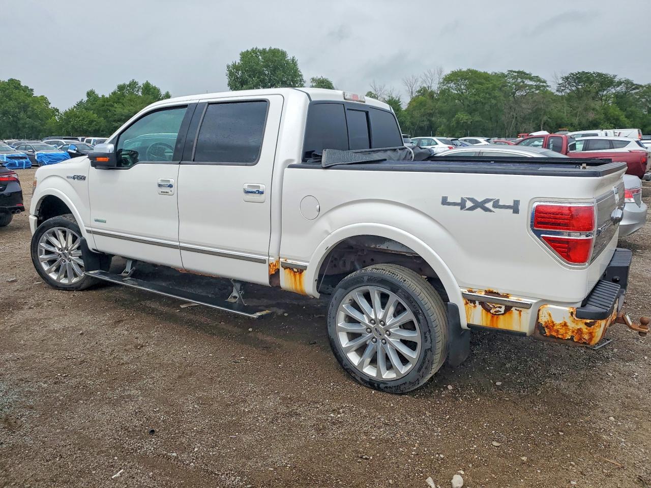 2013 Ford F150 Supercrew Белый vin: 1FTFW1ET1DFA18575