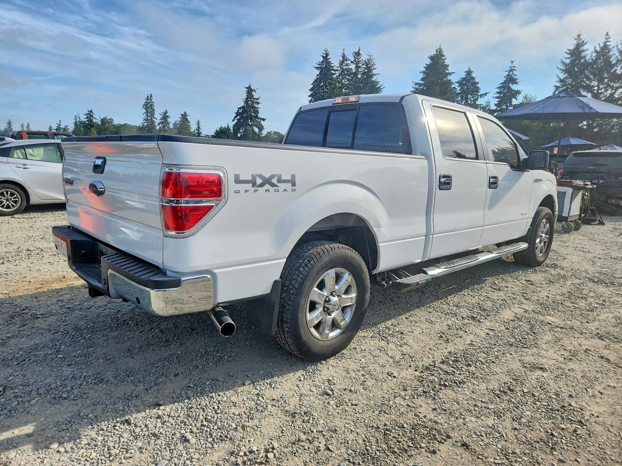 2013 Ford F150 Supercrew White vin: 1FTFW1ET1DKF67202