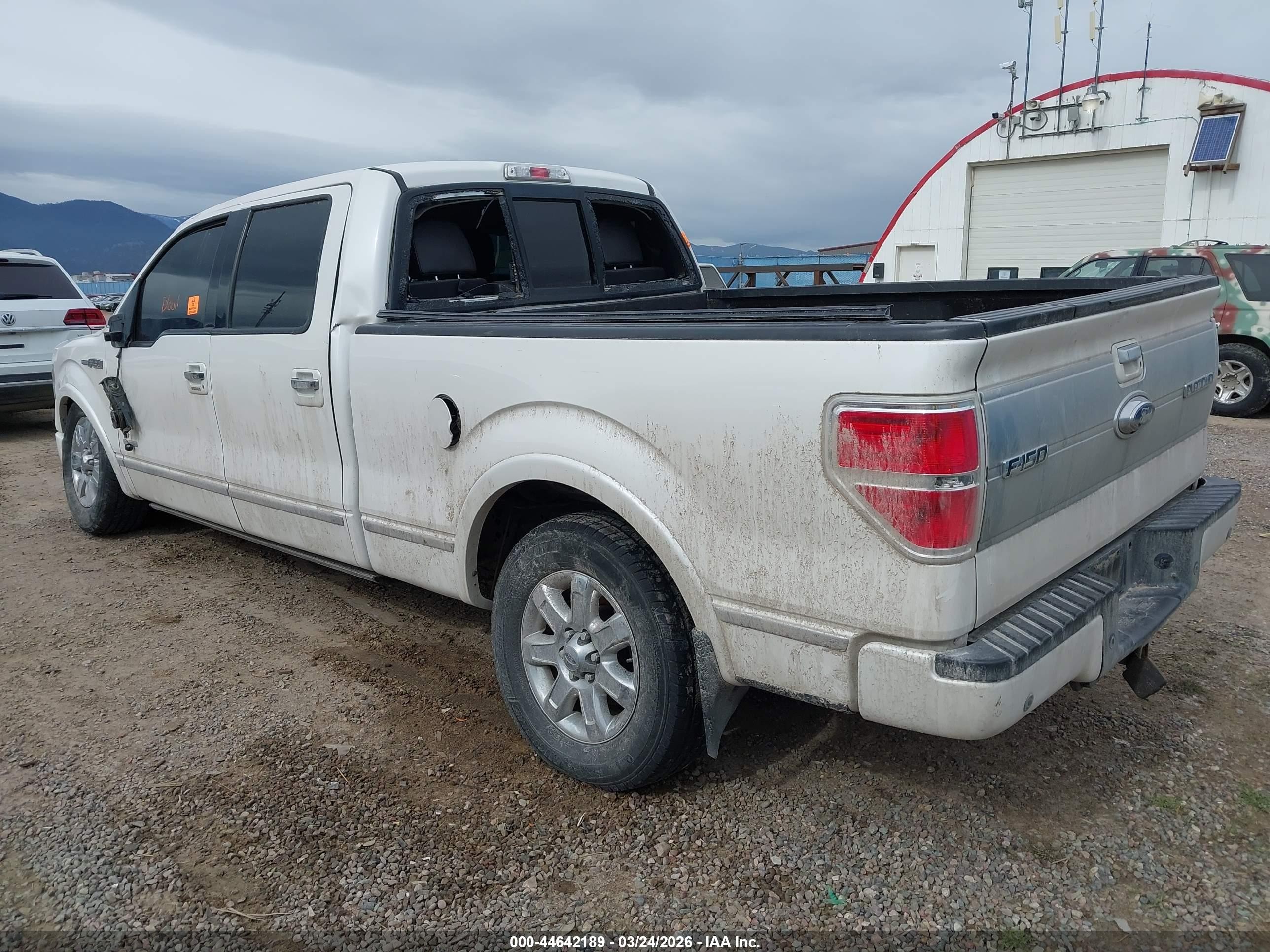 2013 Ford F-150 Platinum White vin: 1FTFW1ET2DFD18514
