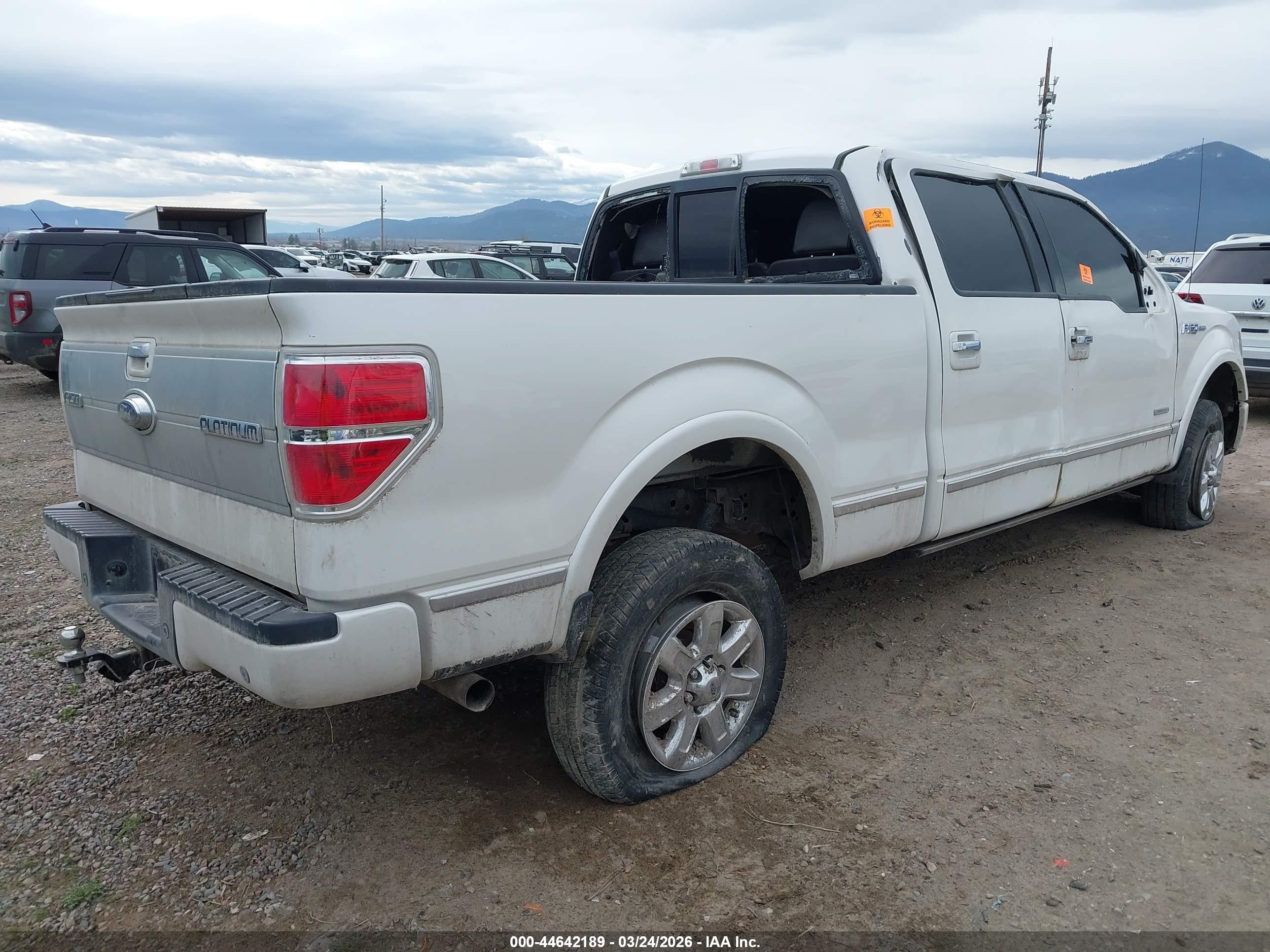 2013 Ford F-150 Platinum White vin: 1FTFW1ET2DFD18514