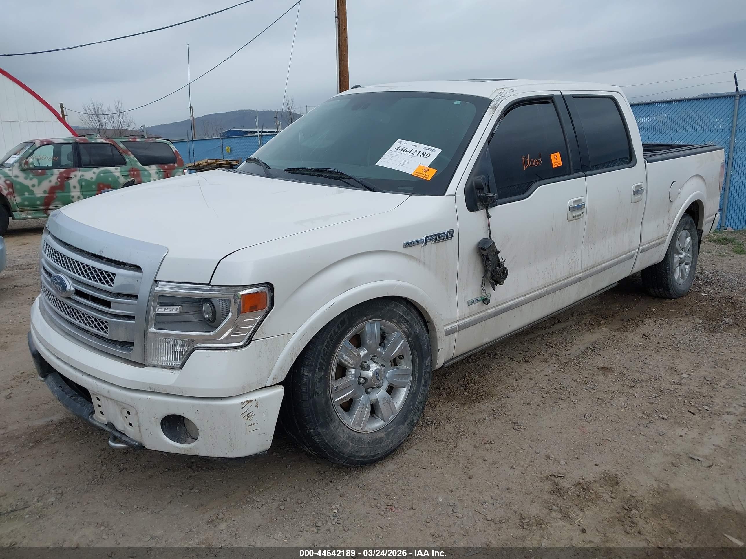 2013 Ford F-150 Platinum White vin: 1FTFW1ET2DFD18514