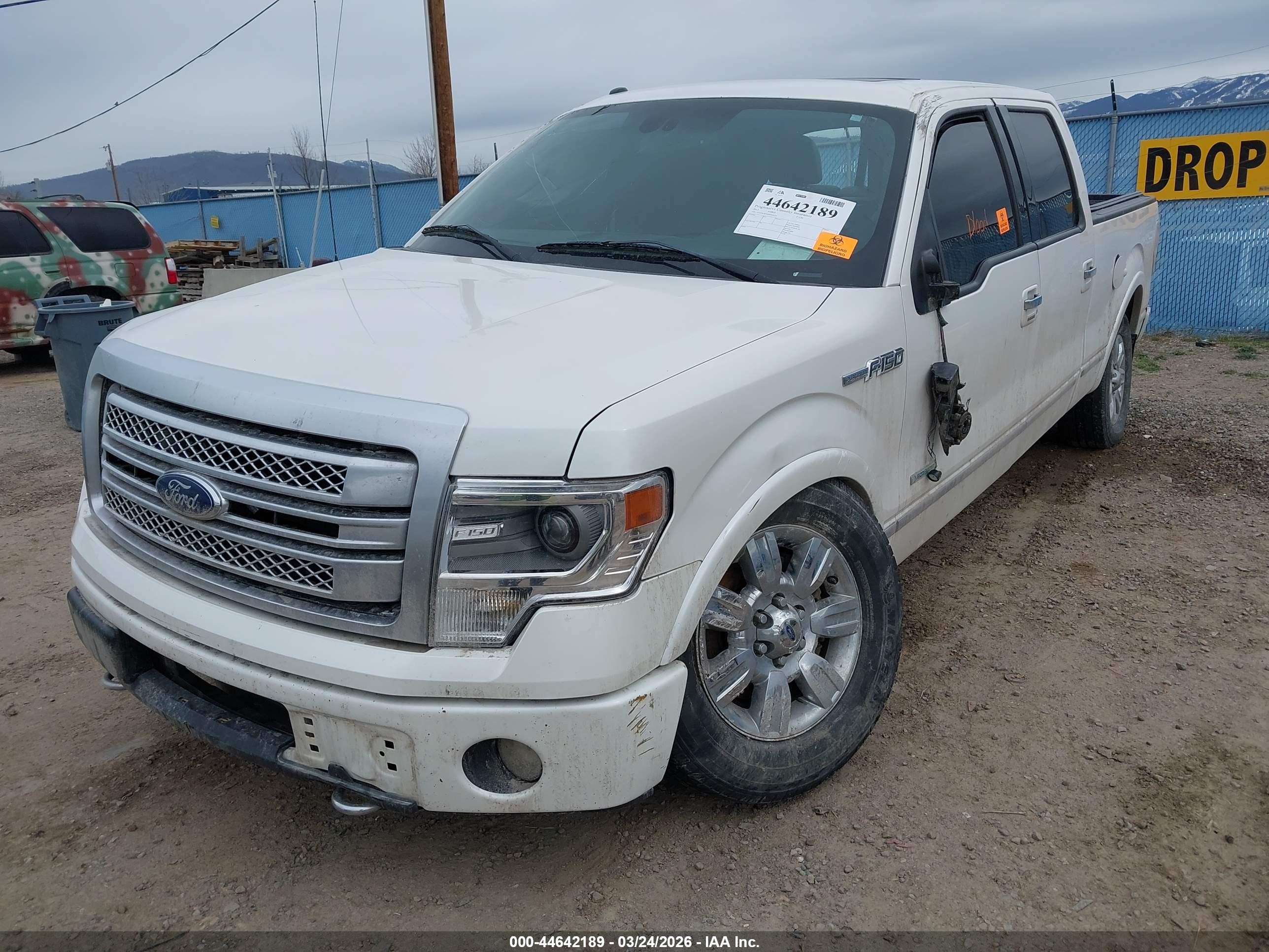 2013 Ford F-150 Platinum White vin: 1FTFW1ET2DFD18514