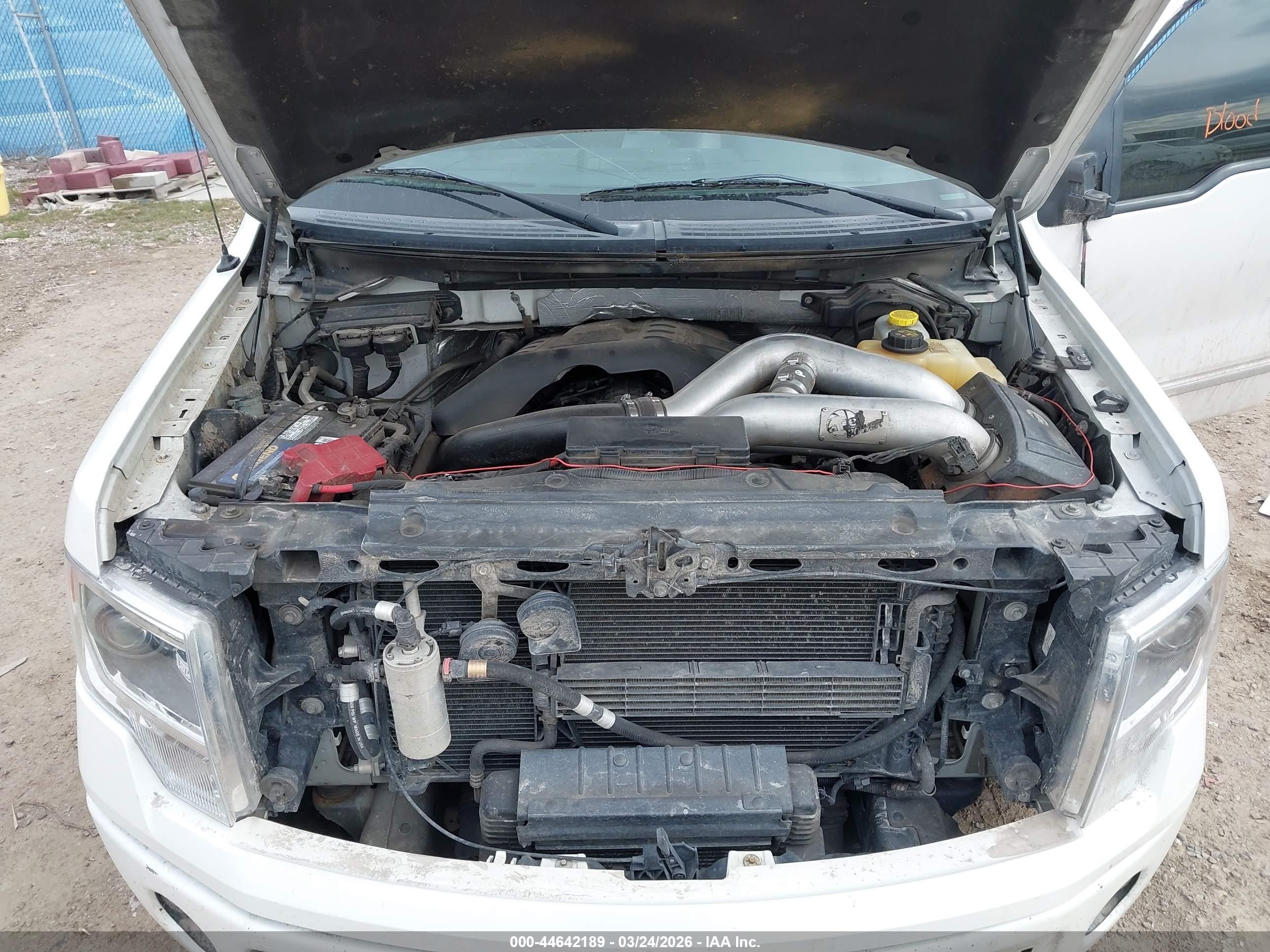 2013 Ford F-150 Platinum White vin: 1FTFW1ET2DFD18514