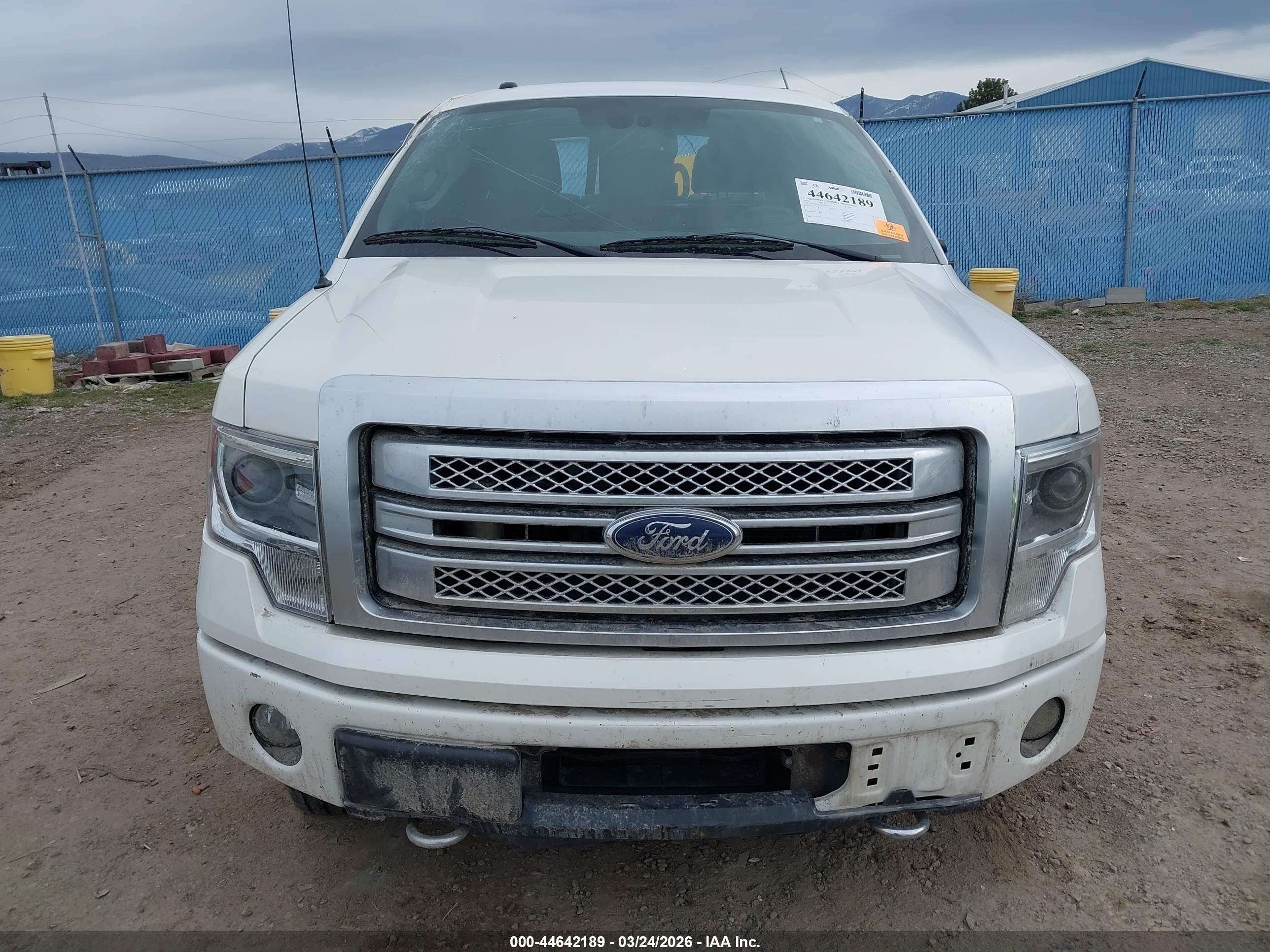 2013 Ford F-150 Platinum White vin: 1FTFW1ET2DFD18514