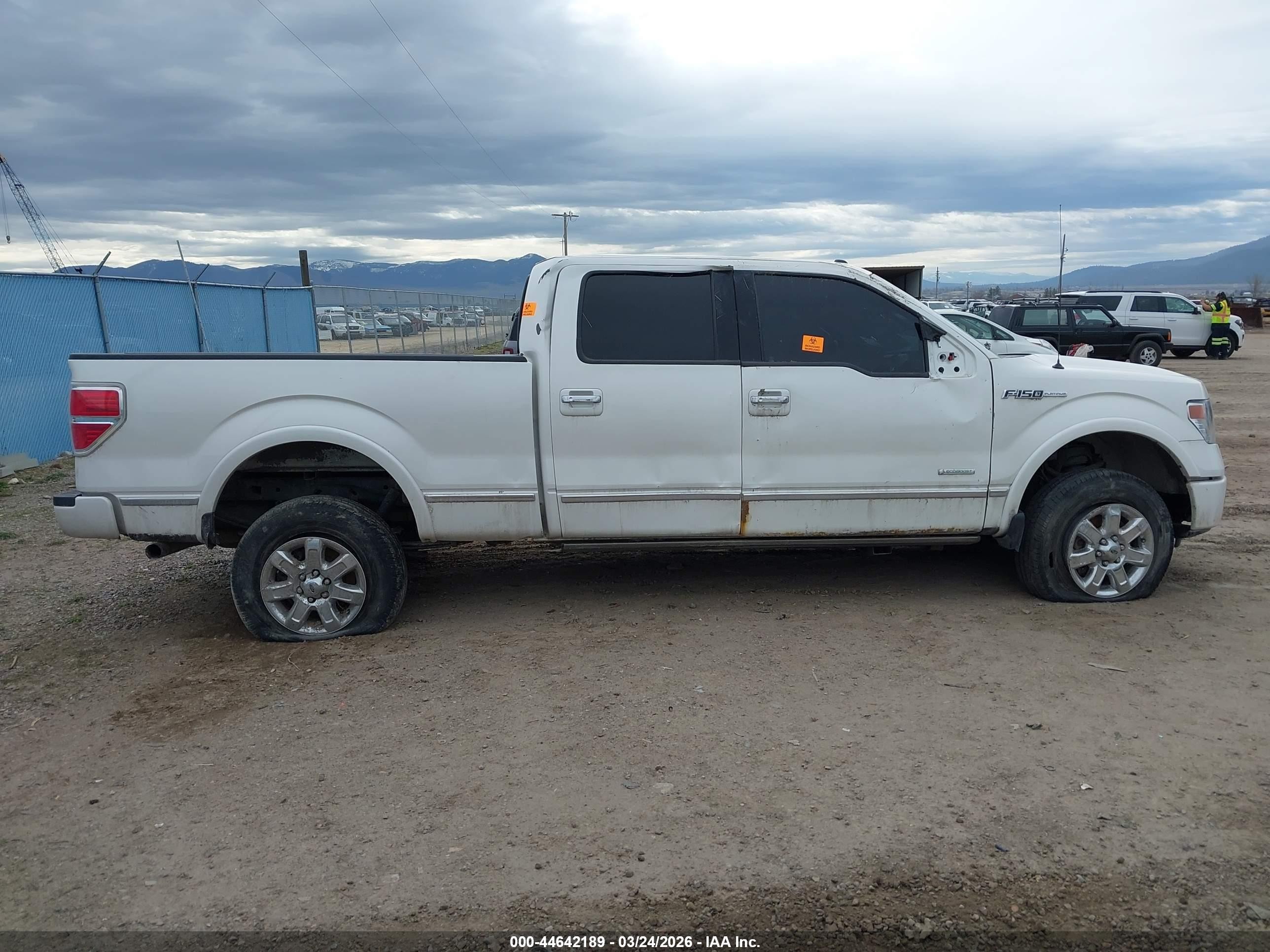 2013 Ford F-150 Platinum White vin: 1FTFW1ET2DFD18514