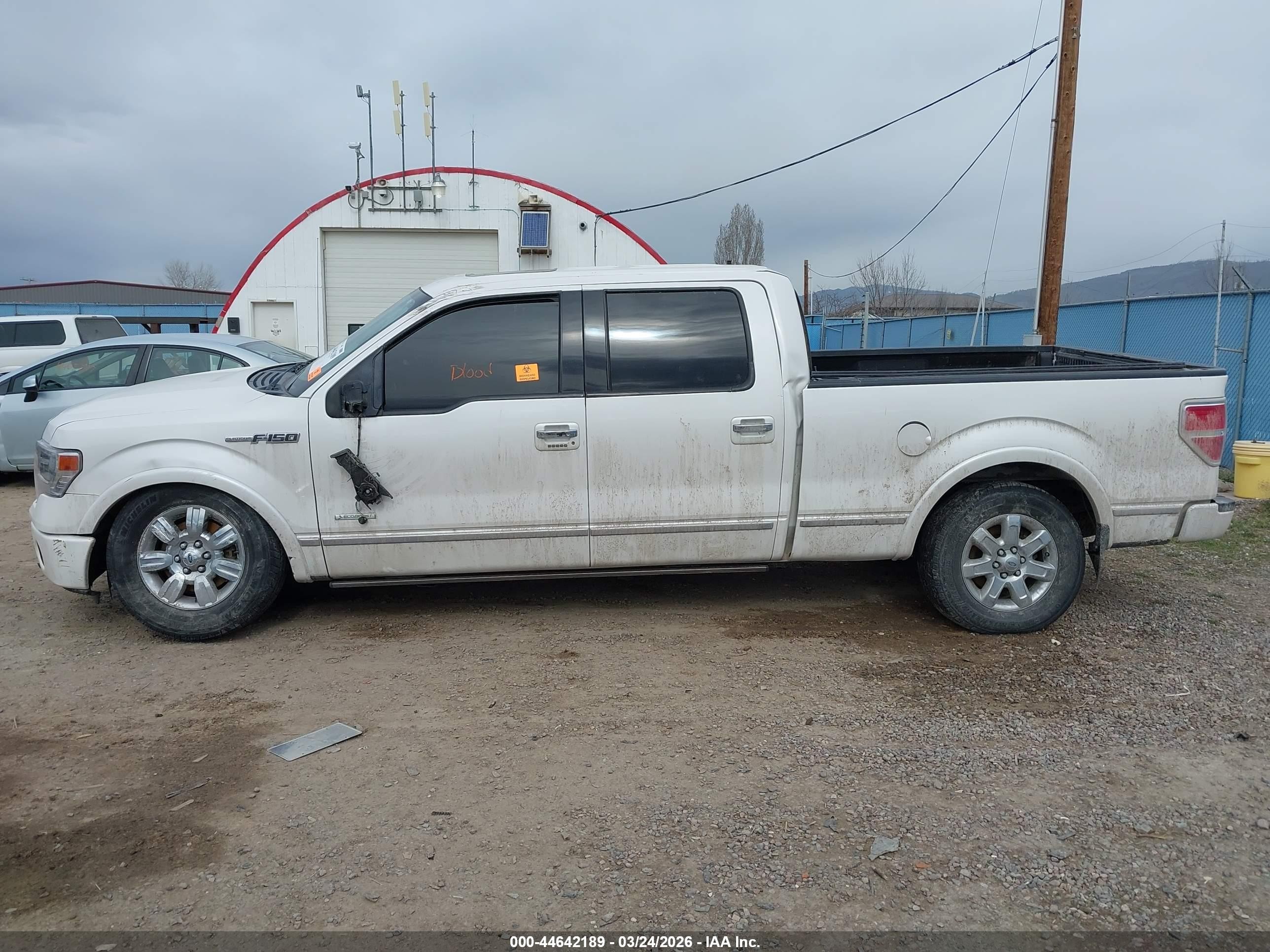 2013 Ford F-150 Platinum White vin: 1FTFW1ET2DFD18514
