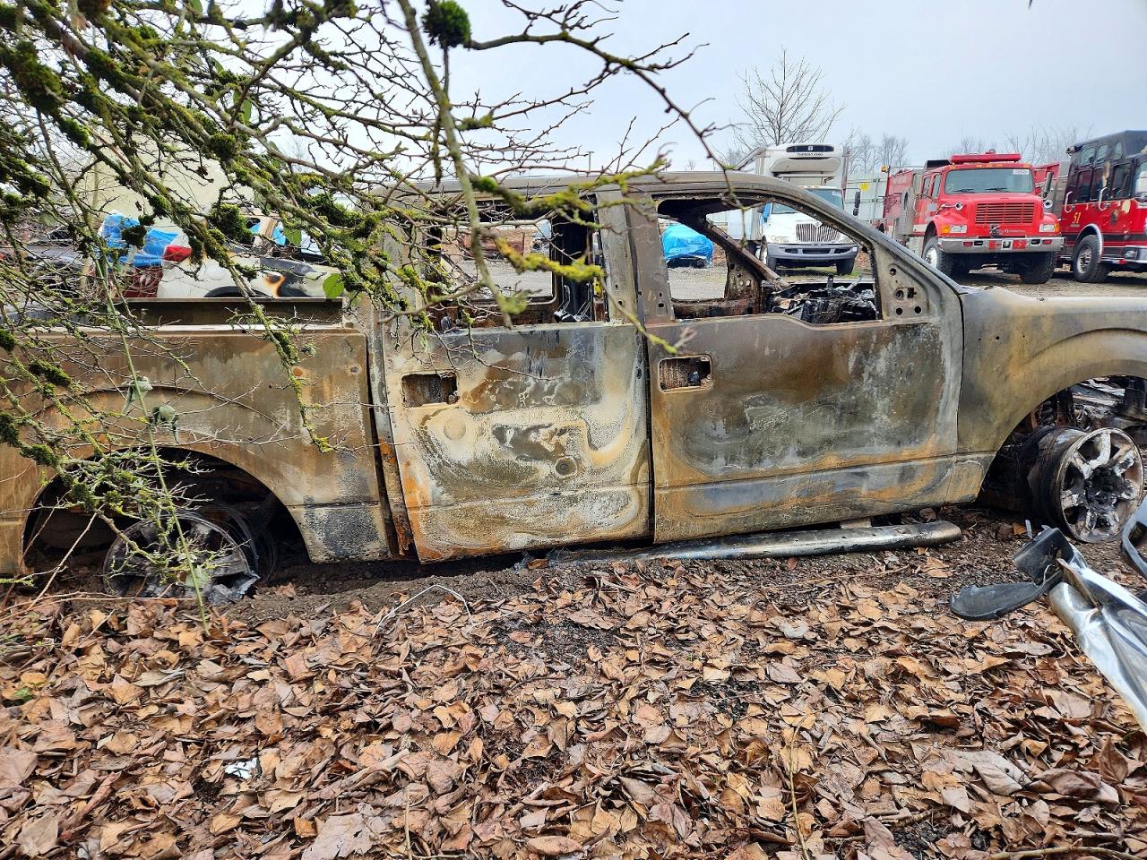 2011 Ford F150 Supercrew Burn vin: 1FTFW1ET3BKD61506