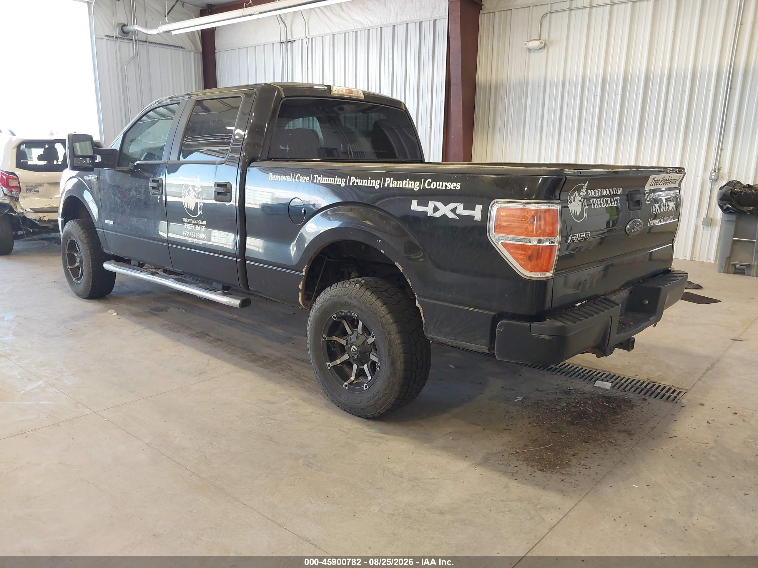 2013 Ford F-150 Xlt Black vin: 1FTFW1ET5DFA96521