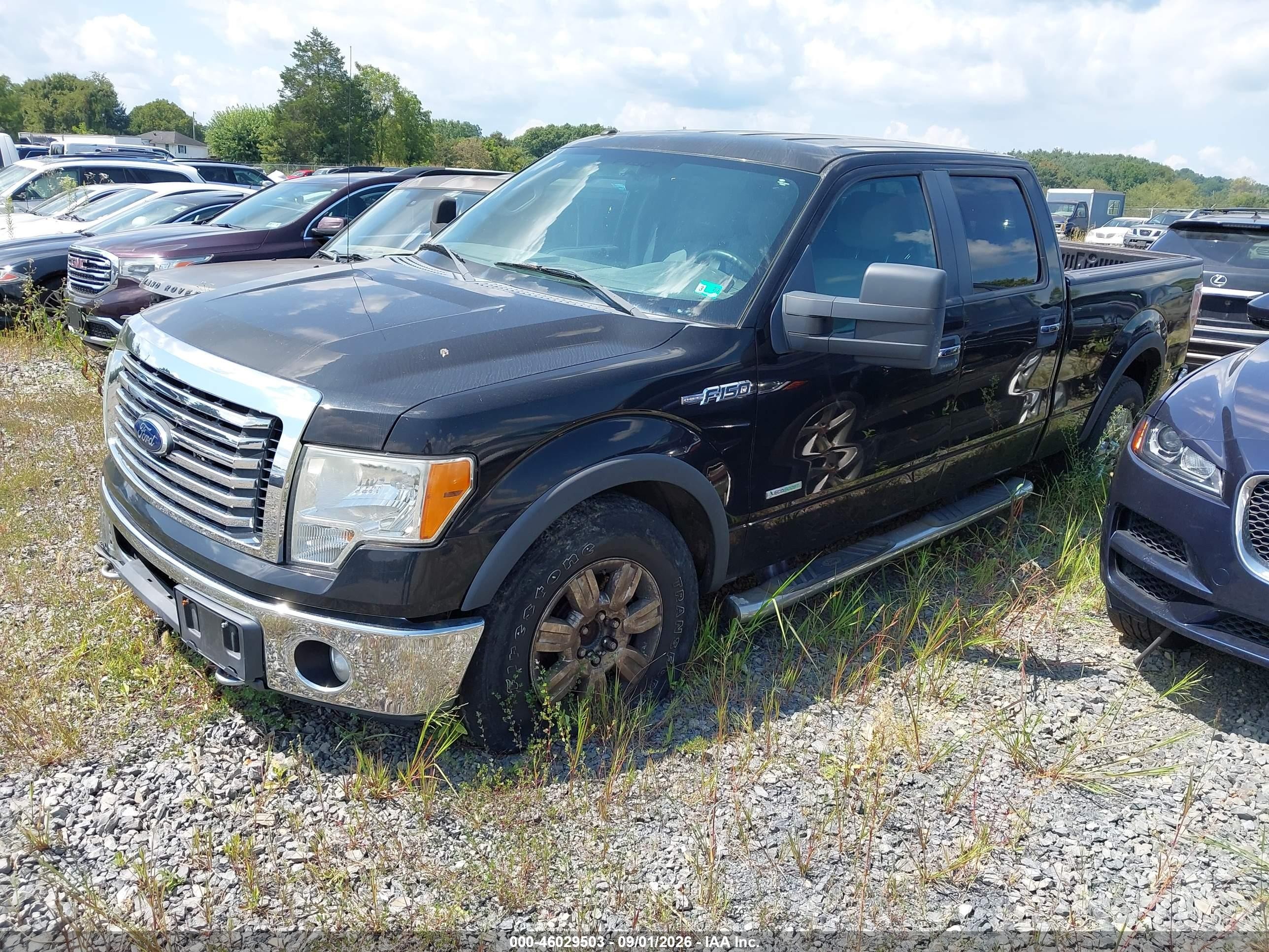 2012 Ford F-150 Xlt Black vin: 1FTFW1ET6CKD72095