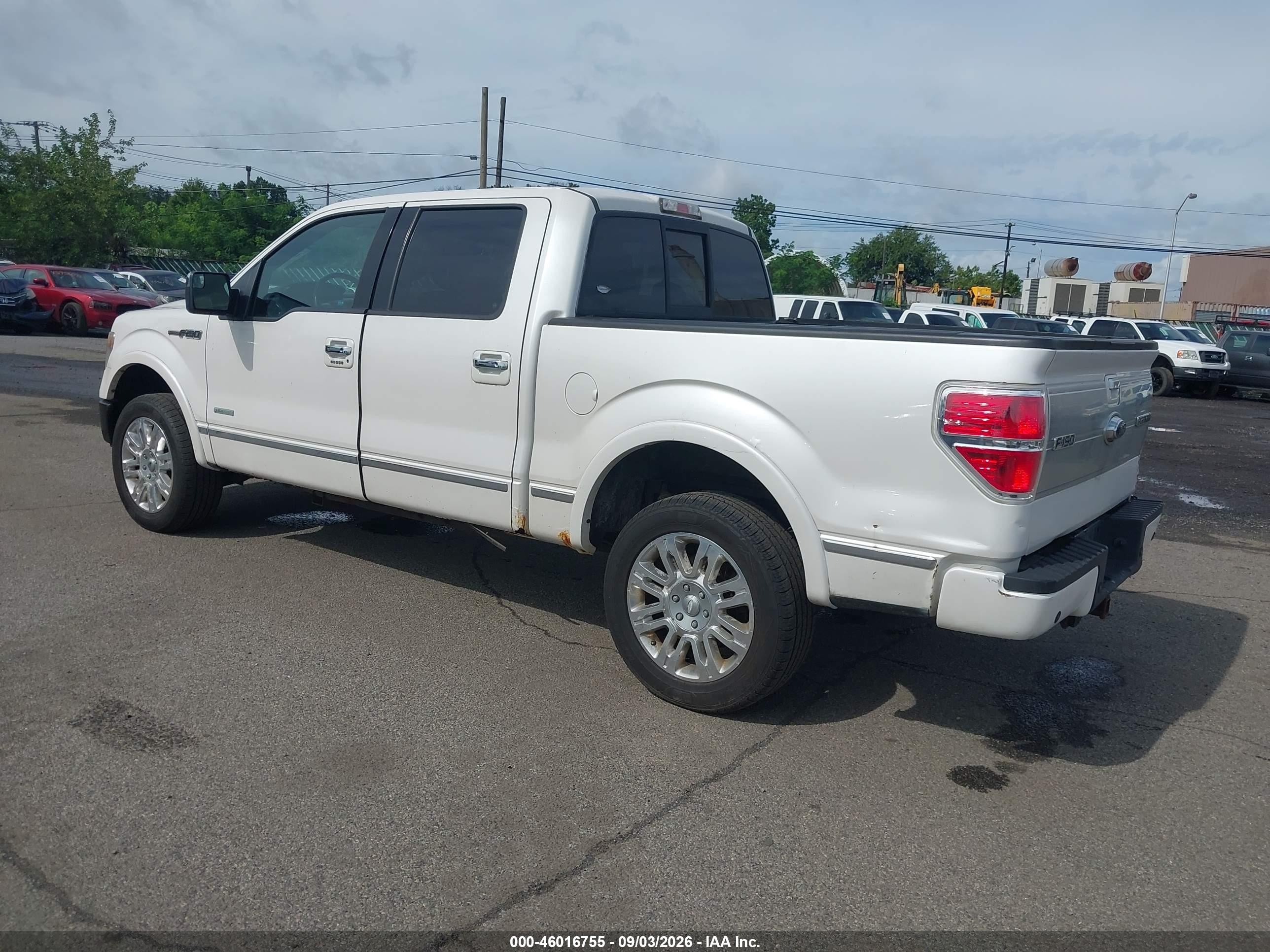 2013 Ford F-150 Platinum White vin: 1FTFW1ET6DFA13260