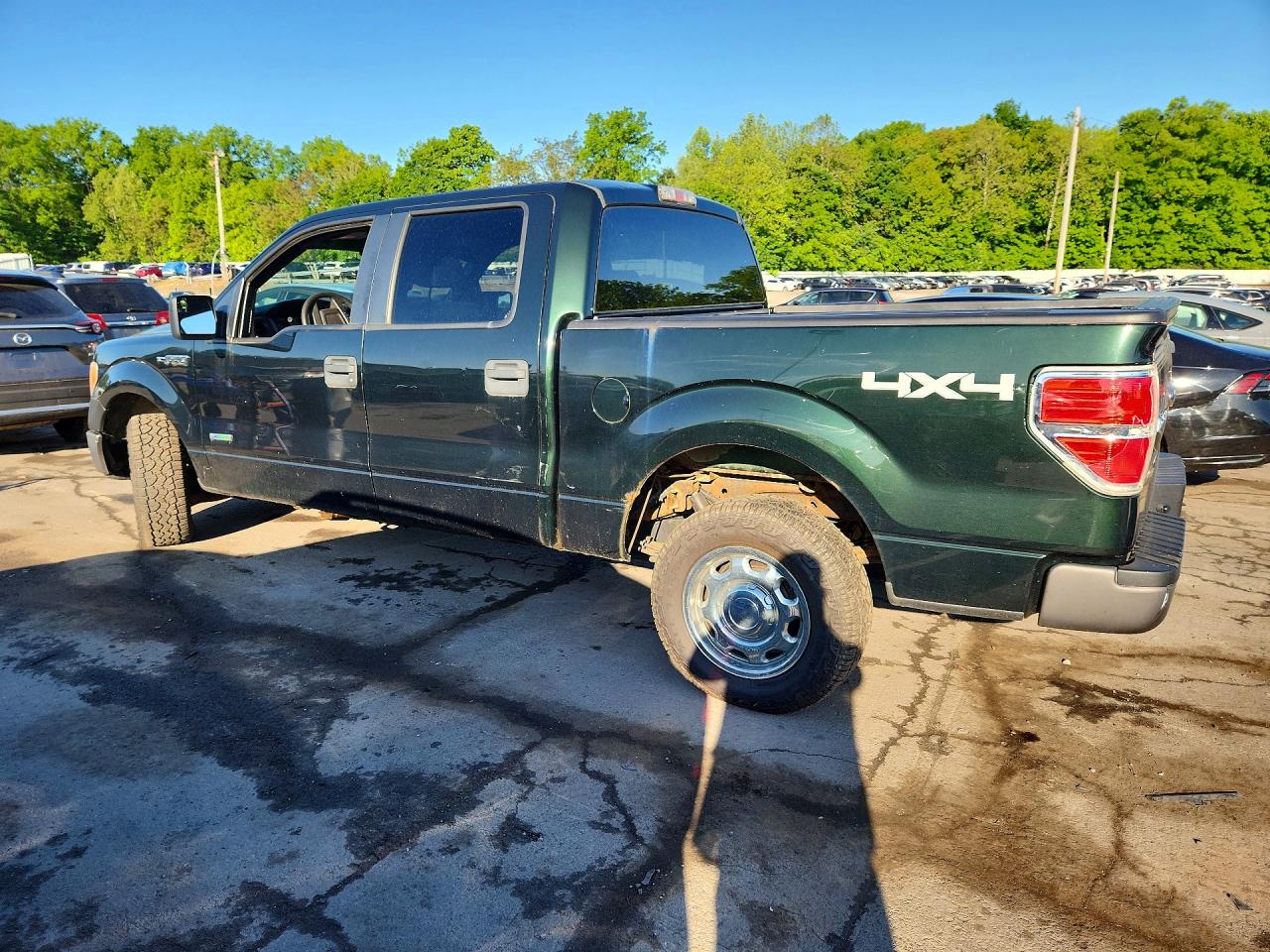 2014 Ford F150 Supercrew Green vin: 1FTFW1ET6EKG11048