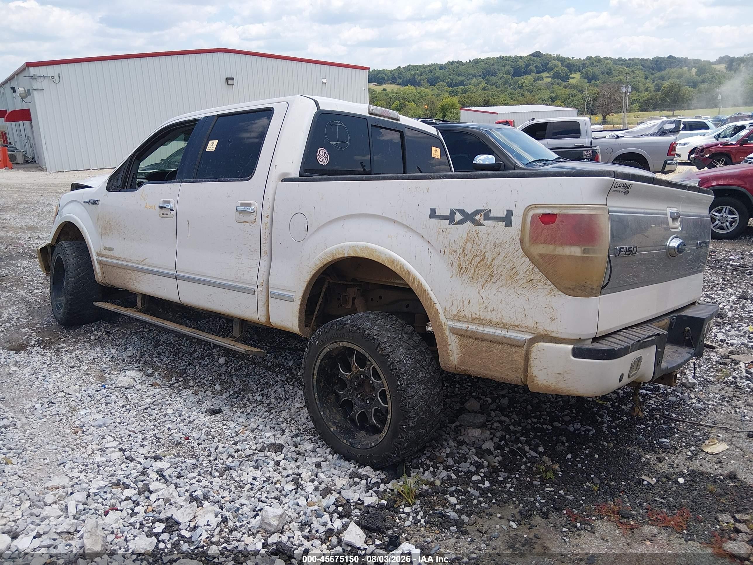 2011 Ford F-150 Platinum White vin: 1FTFW1ET7BFD21809