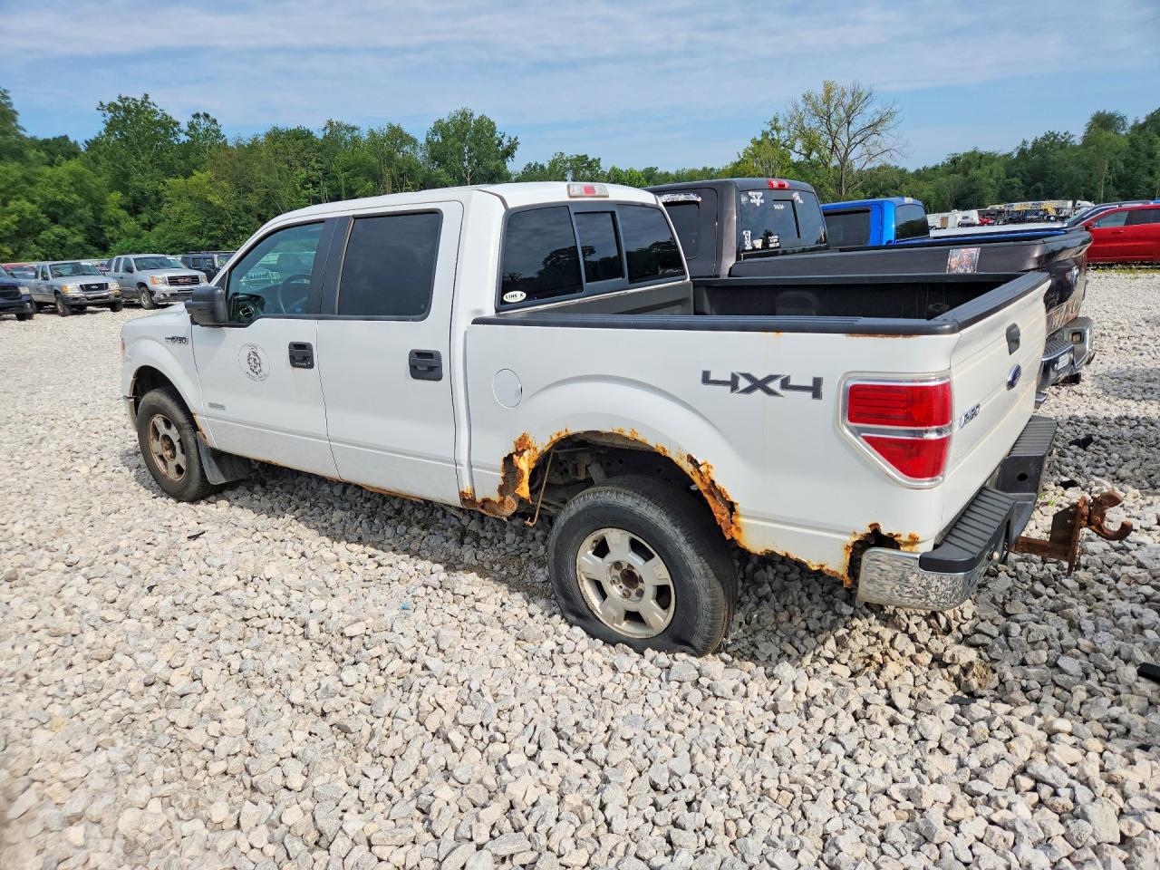 2013 Ford F150 Supercrew White vin: 1FTFW1ET8DFB84513