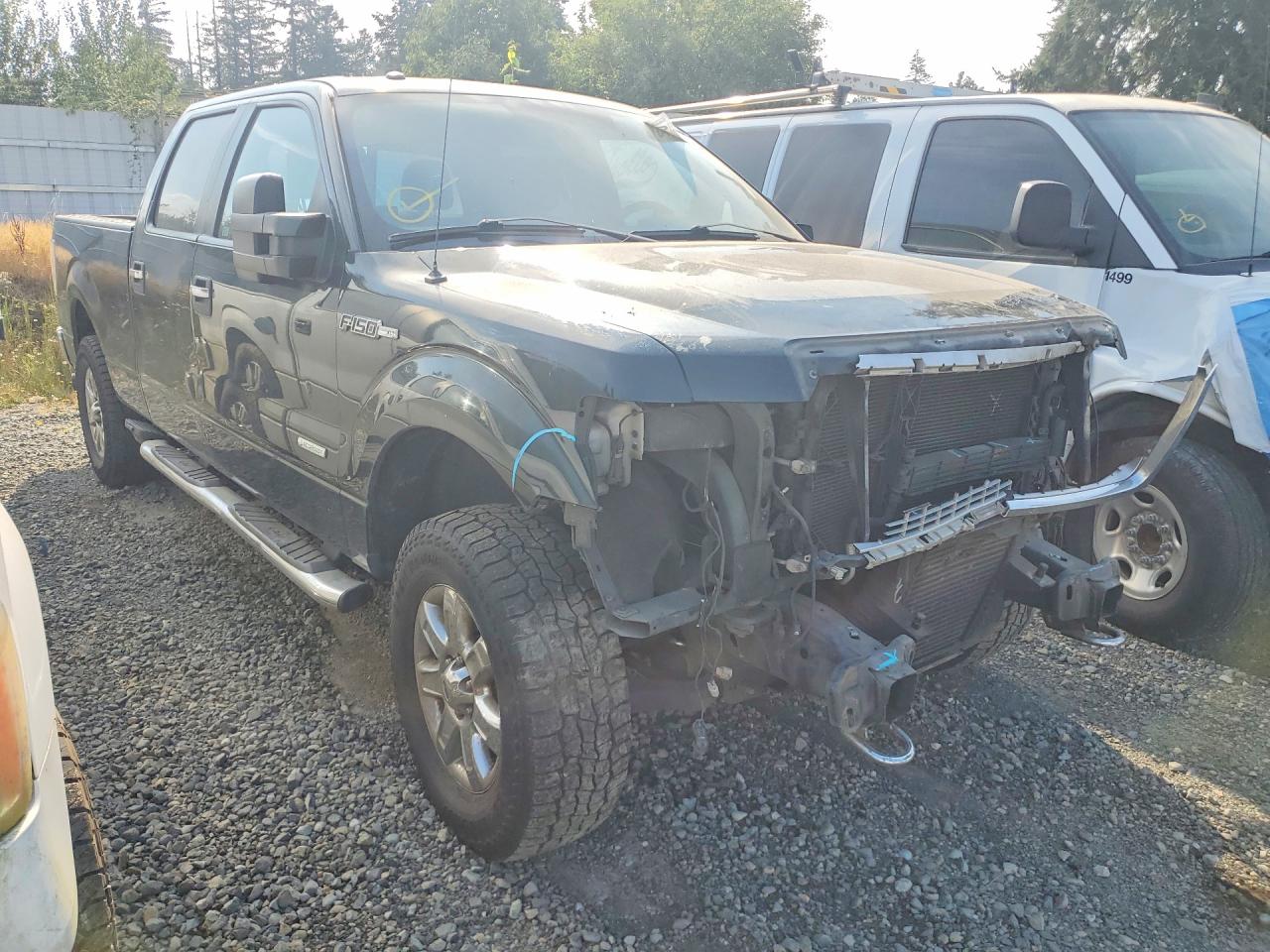 2014 Ford F150 Supercrew Зеленый vin: 1FTFW1ET8EFB02068