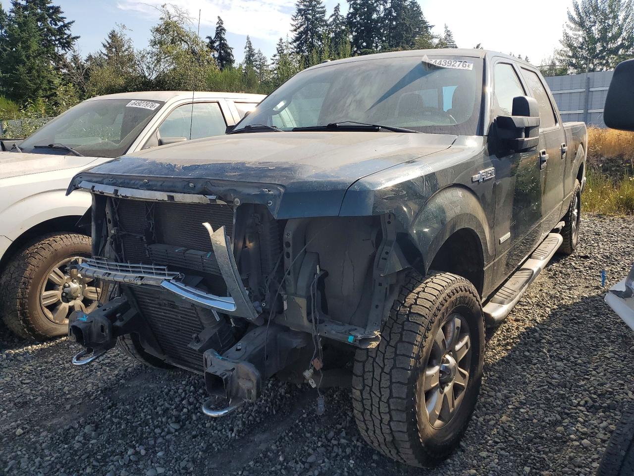 2014 Ford F150 Supercrew Green vin: 1FTFW1ET8EFB02068