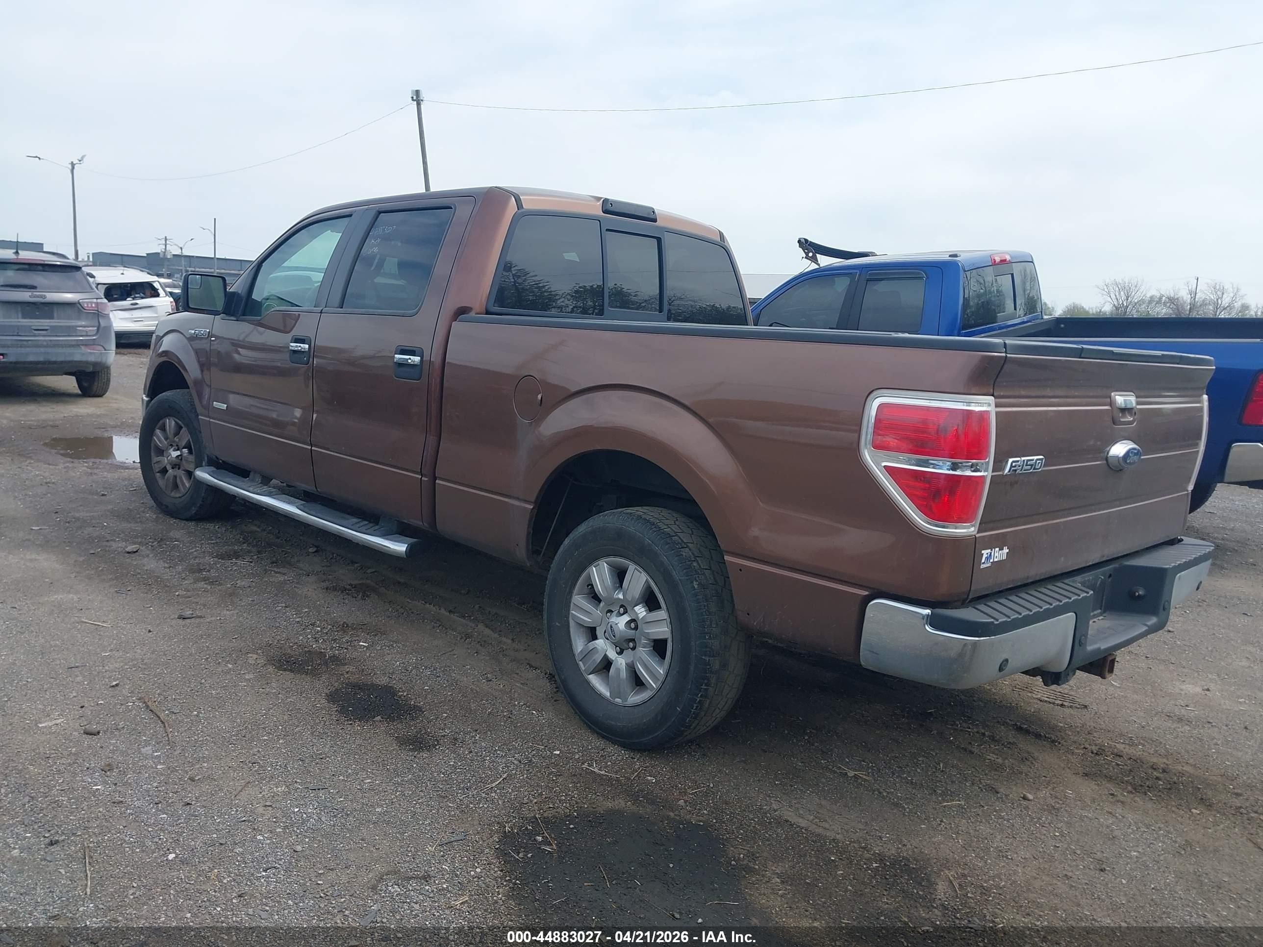 2011 Ford F-150 Xlt Brown vin: 1FTFW1ET9BFC24949
