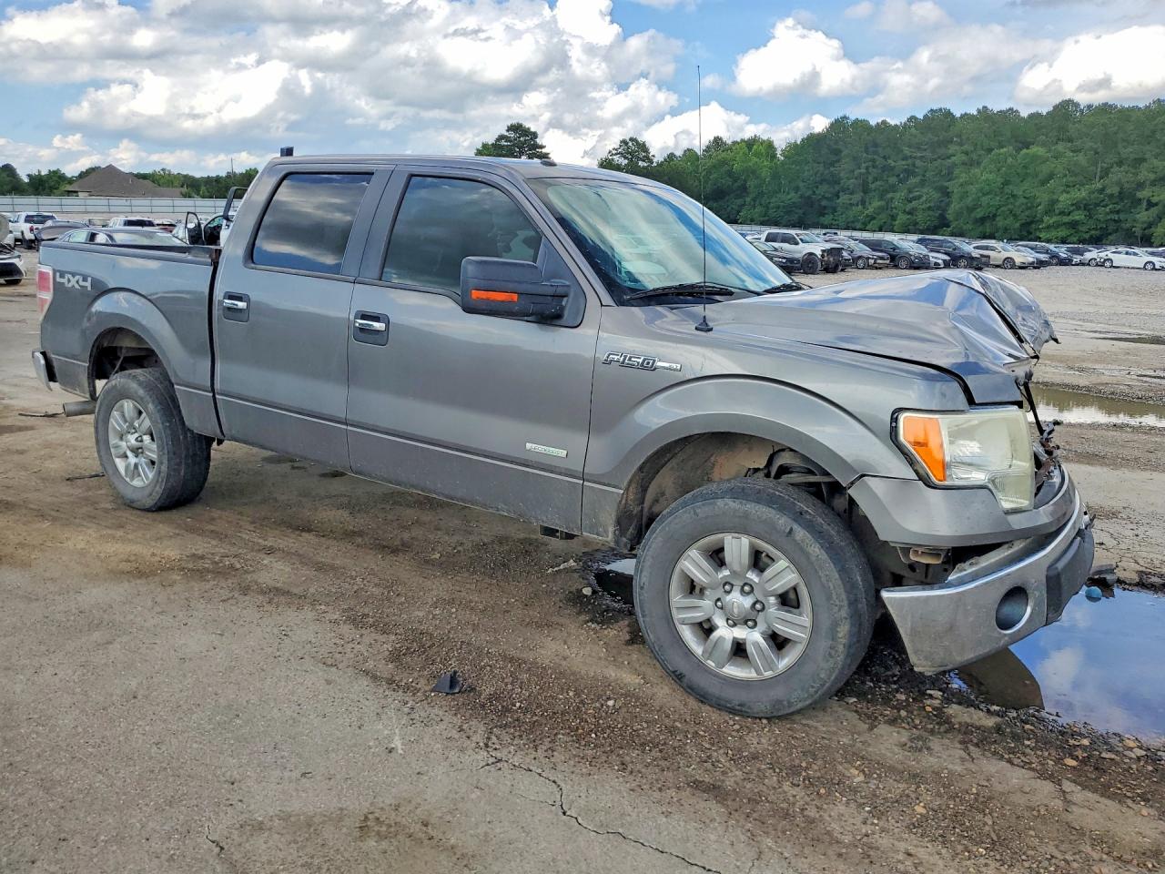 2011 Ford F150 Supercrew Gray vin: 1FTFW1ETXBFC44739