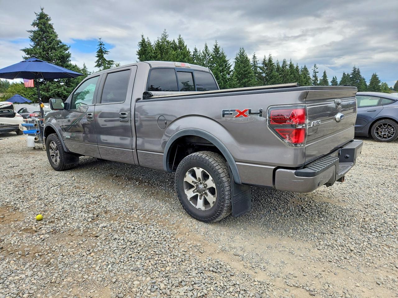 2011 Ford F150 Supercrew Gray vin: 1FTFW1ETXBFC79863