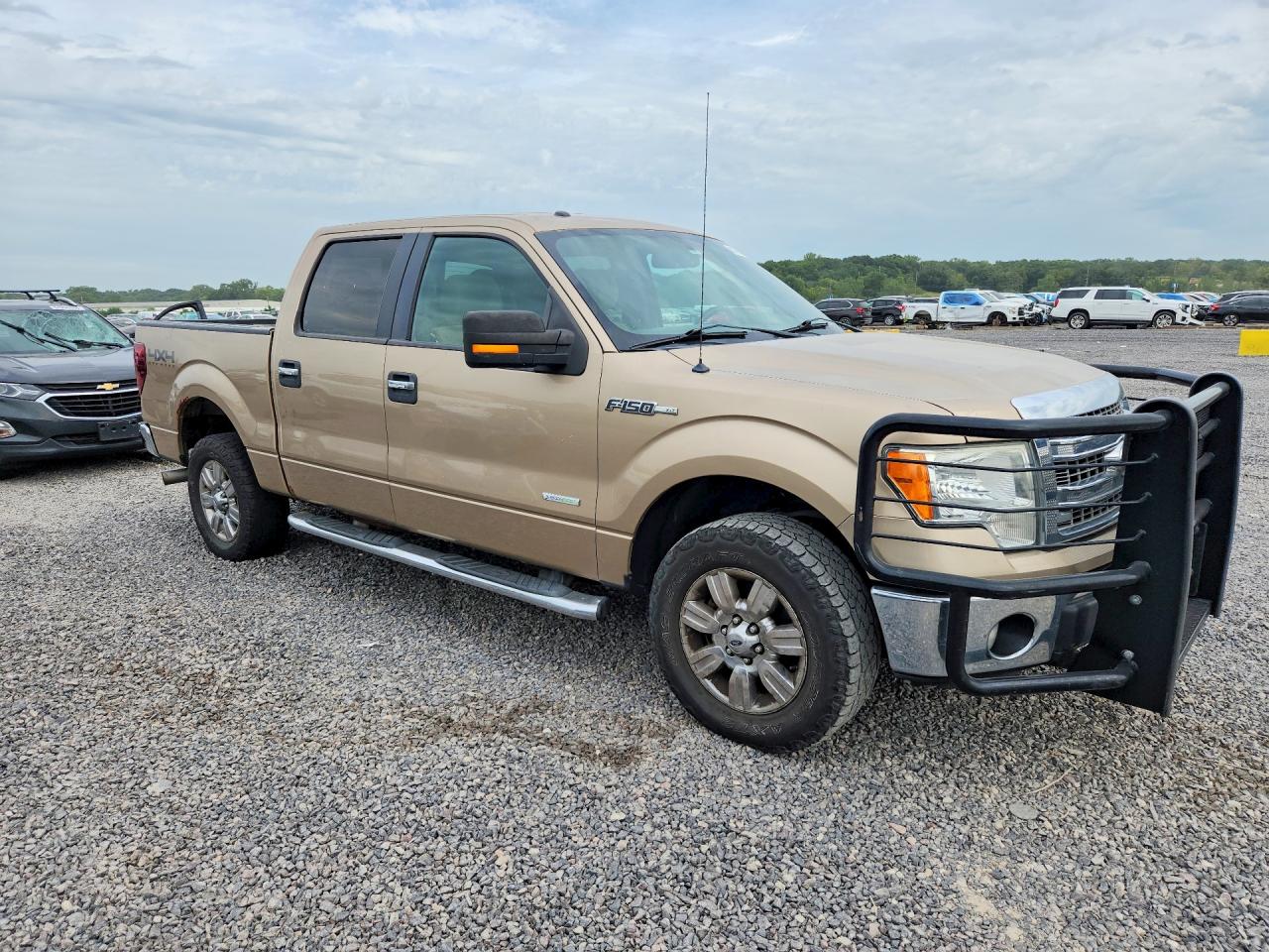 2014 Ford F150 Supercrew Gold vin: 1FTFW1ETXEKD04529