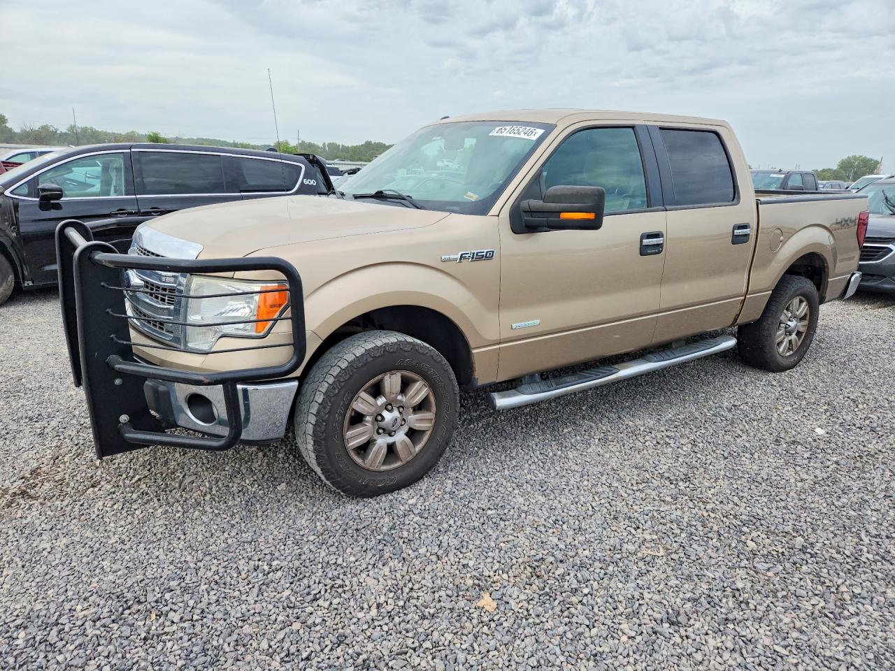 2014 Ford F150 Supercrew Gold vin: 1FTFW1ETXEKD04529