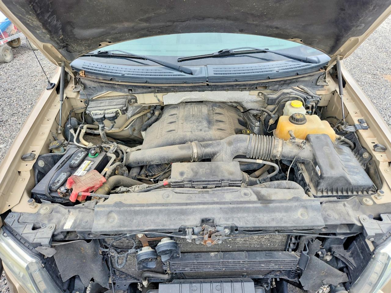 2014 Ford F150 Supercrew Gold vin: 1FTFW1ETXEKD04529
